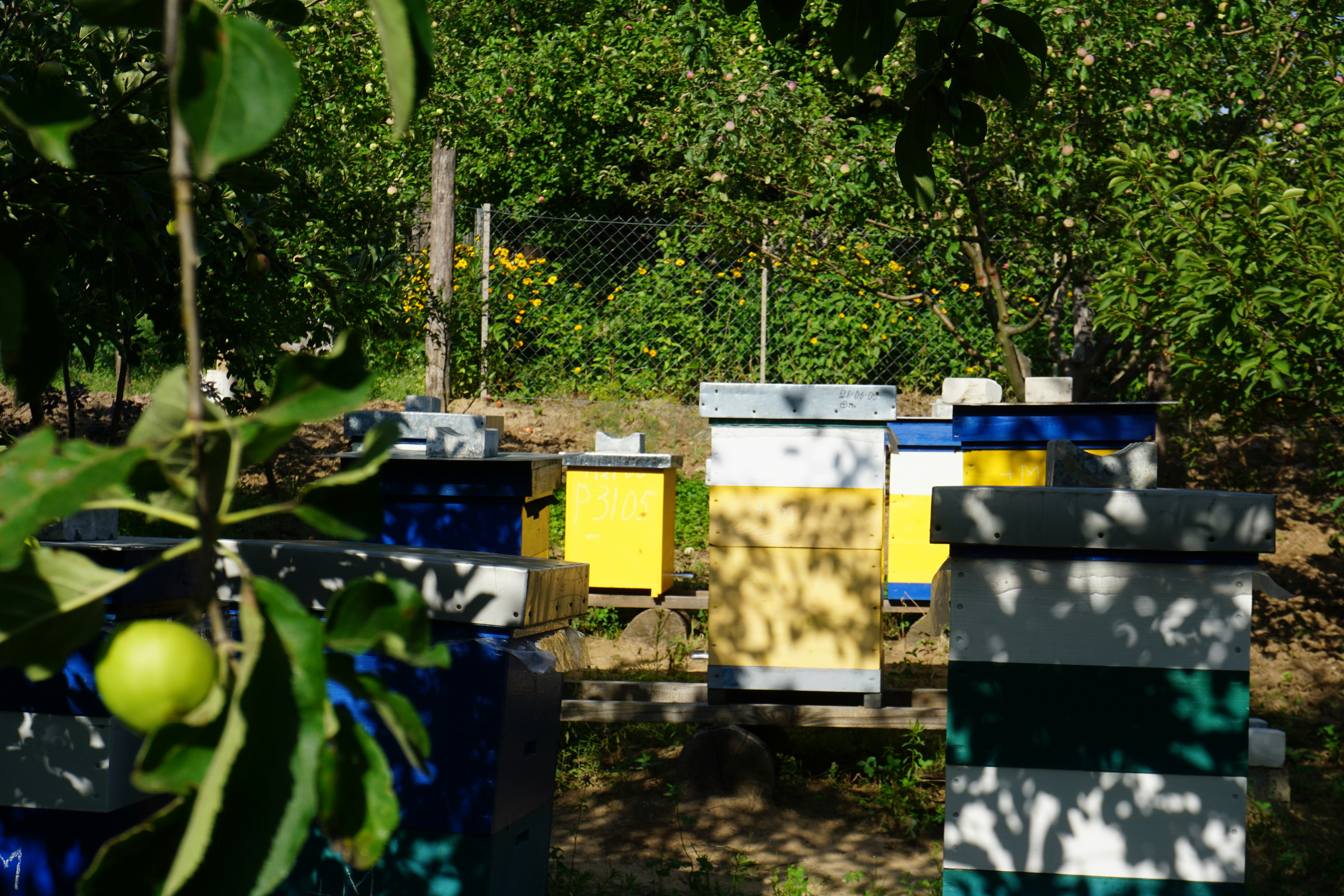 Edge-First Evidence: How Verification Platforms, Verifiable Credentials and Behavioral Biometrics Are Rewriting Courtroom Proof in 2026