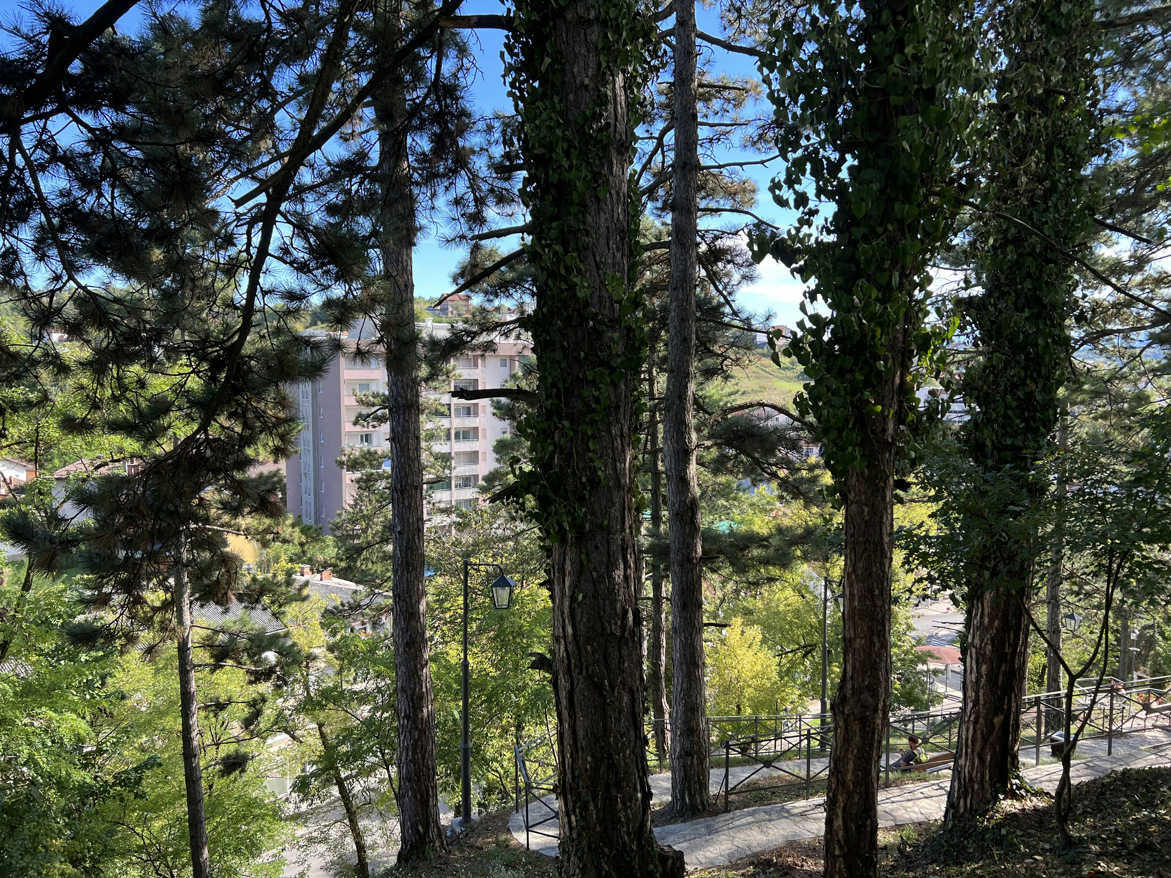 A building behind trees photo – Free Cazin Image on Unsplash