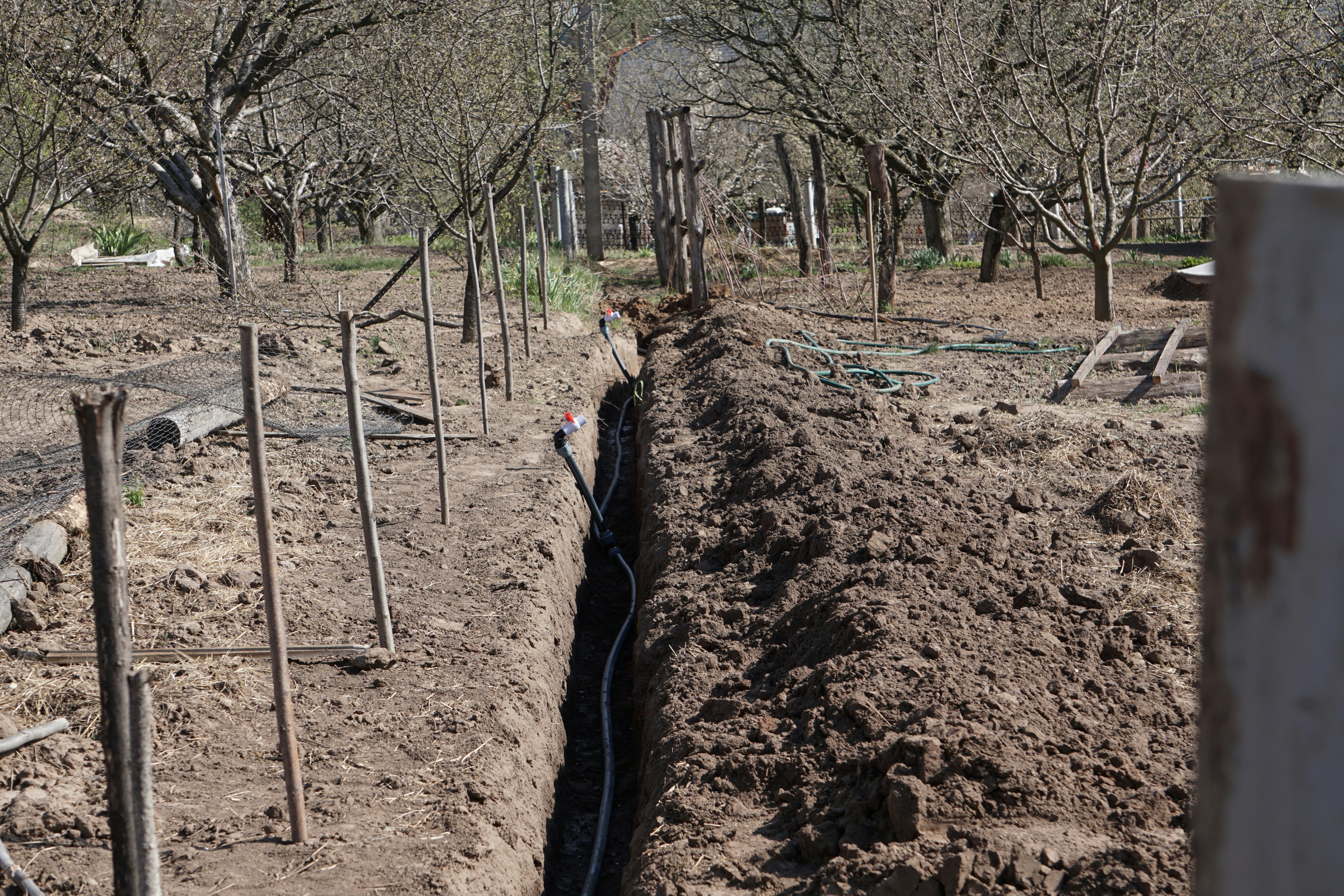 Plants and fencing working together to prevent soil erosion