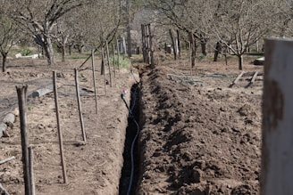Hedgie Wilder checking the irrigation system in a Kurtovo Konare orchard, making sure the trees get 