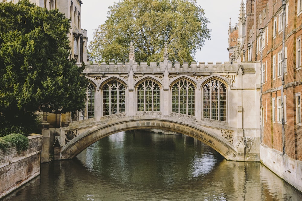 a bridge over a river