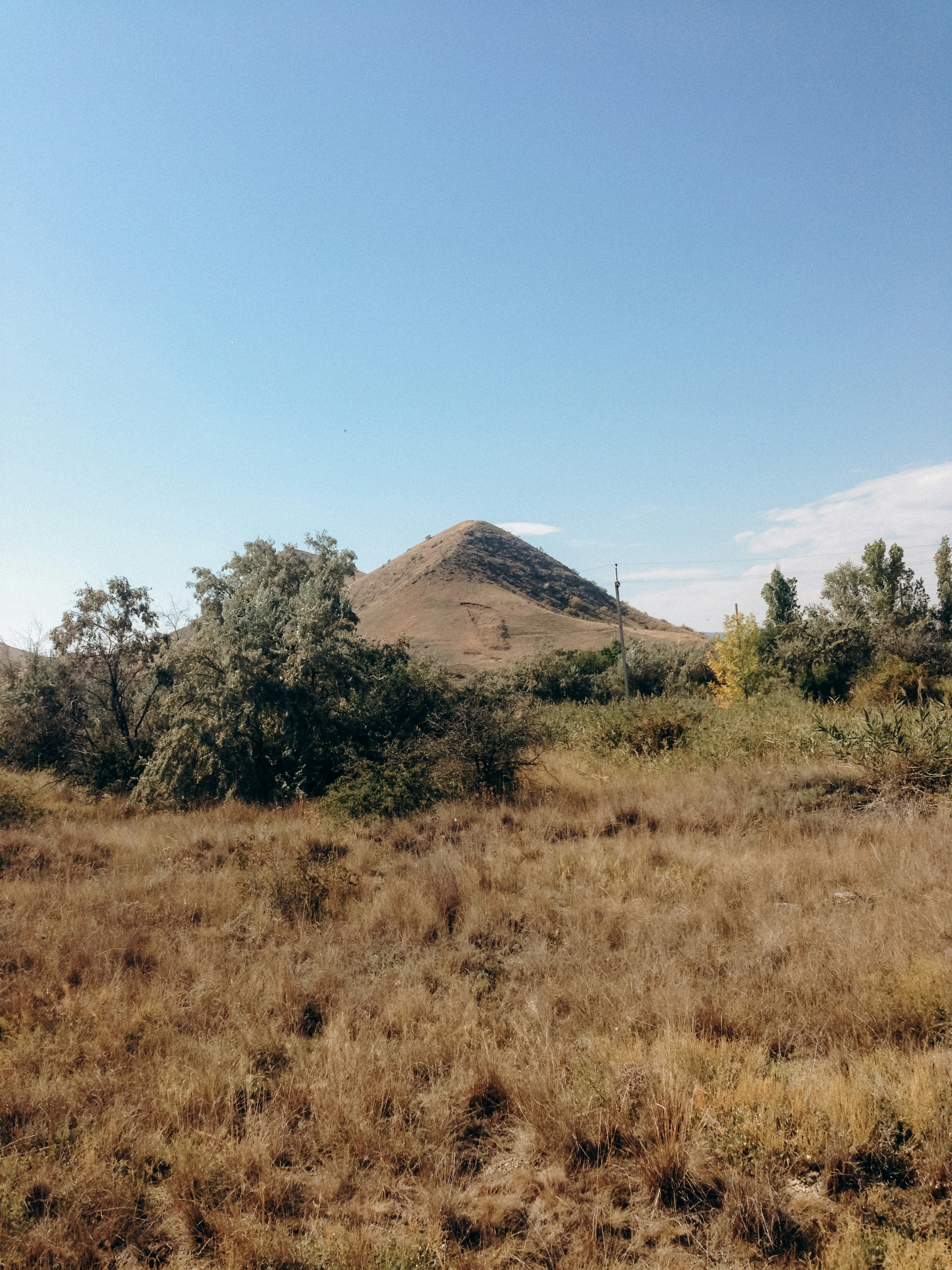a grassy area with trees and a hill in the background