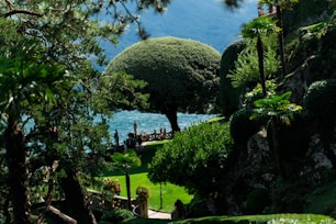 a large green landscape with a body of water in the background