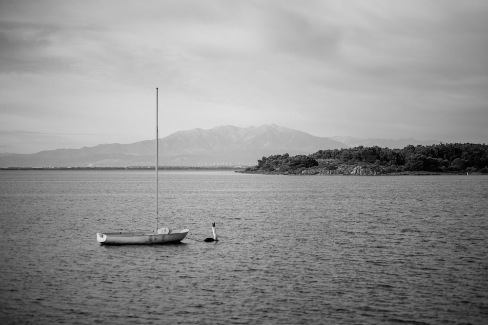 um par de barcos sentados no meio de um lago