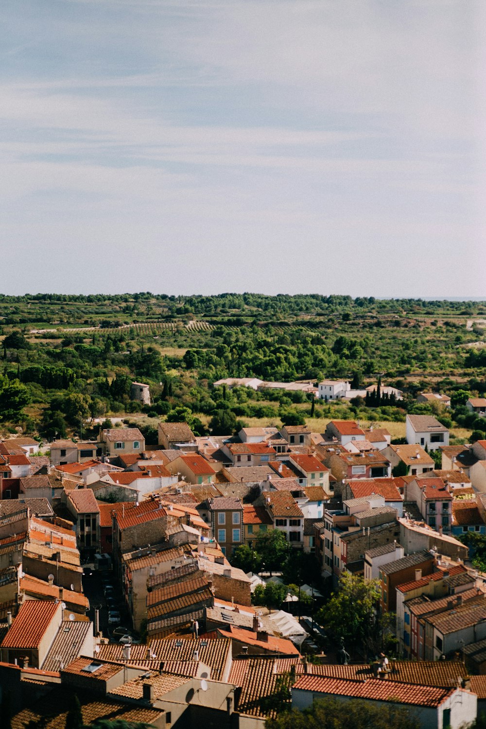 Una ciudad con muchos edificios