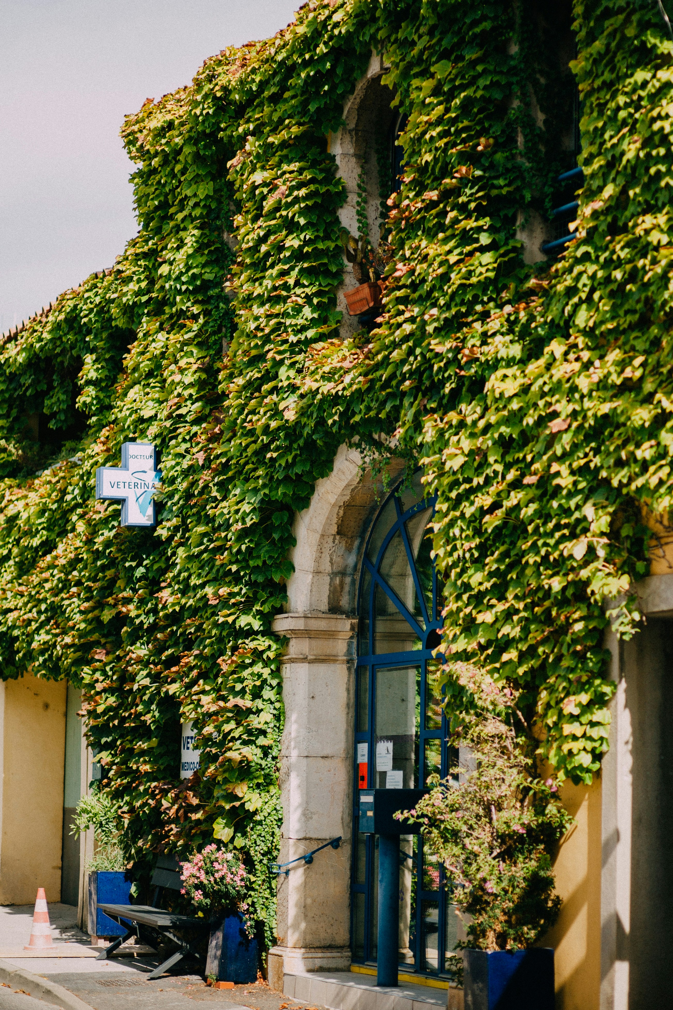 Photo by skatienstuksuma