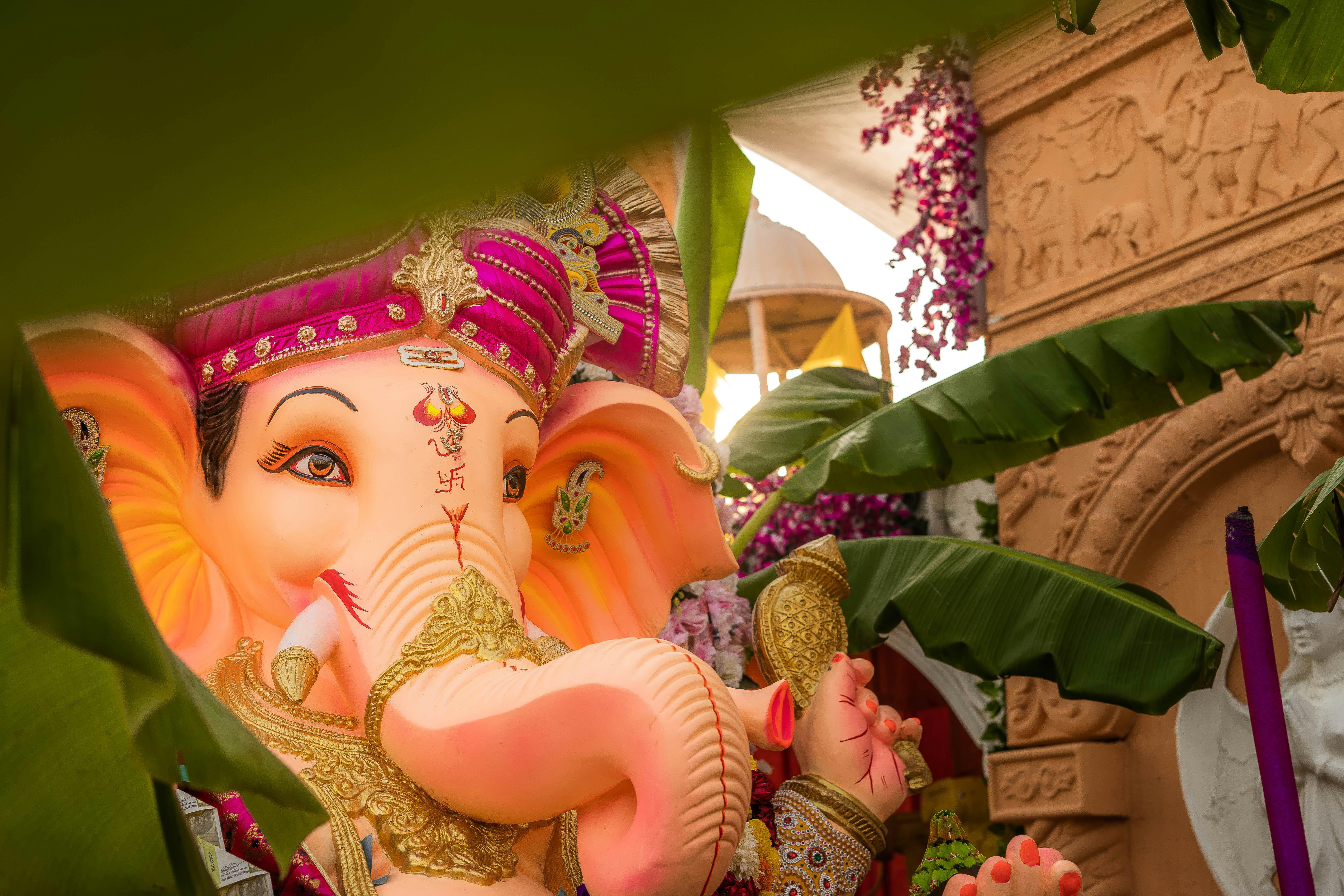 Photo by rushicumar3433