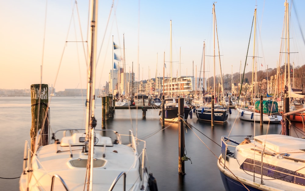 Un groupe de bateaux dans un port