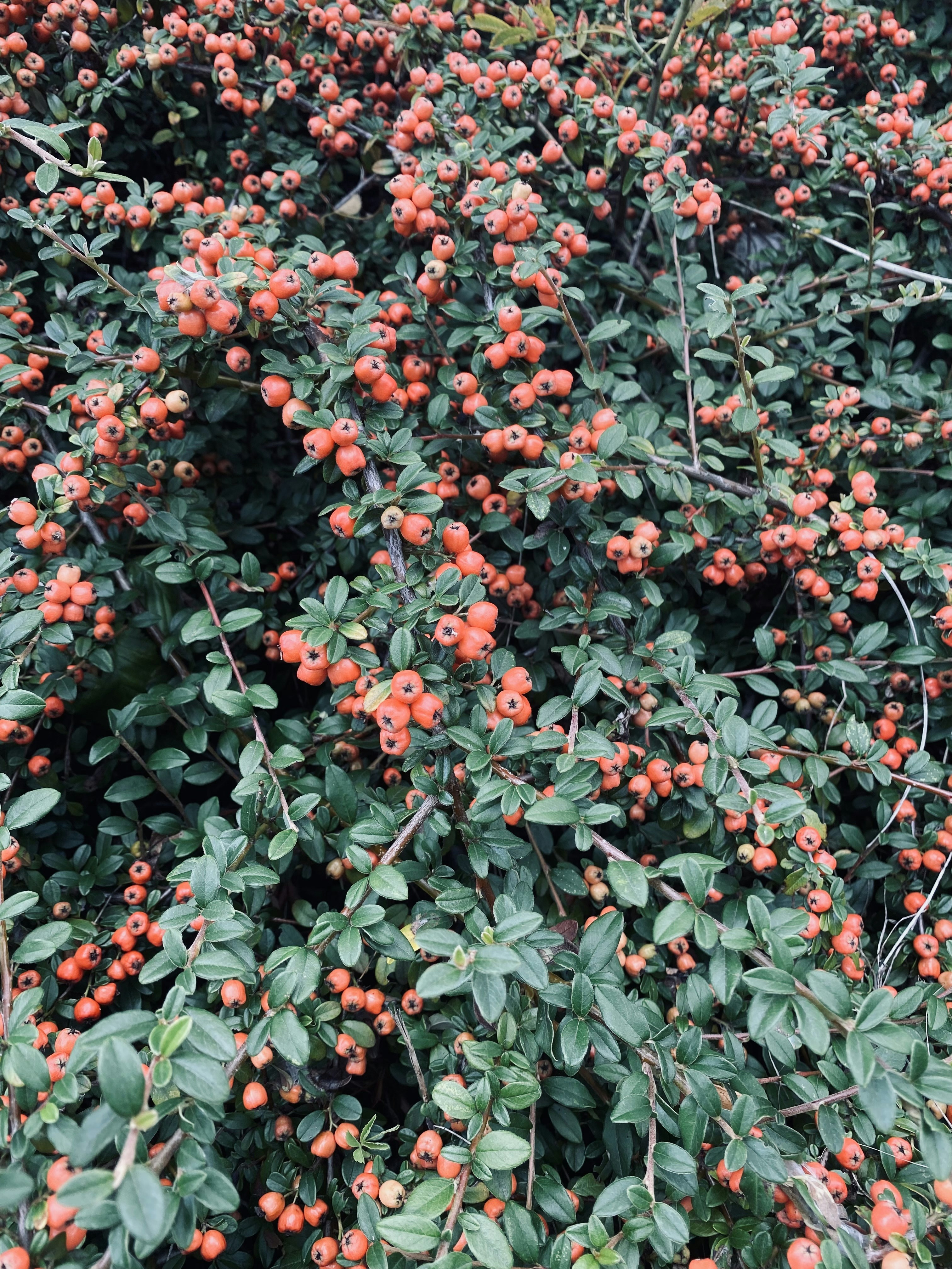 Photo by emotional_lady