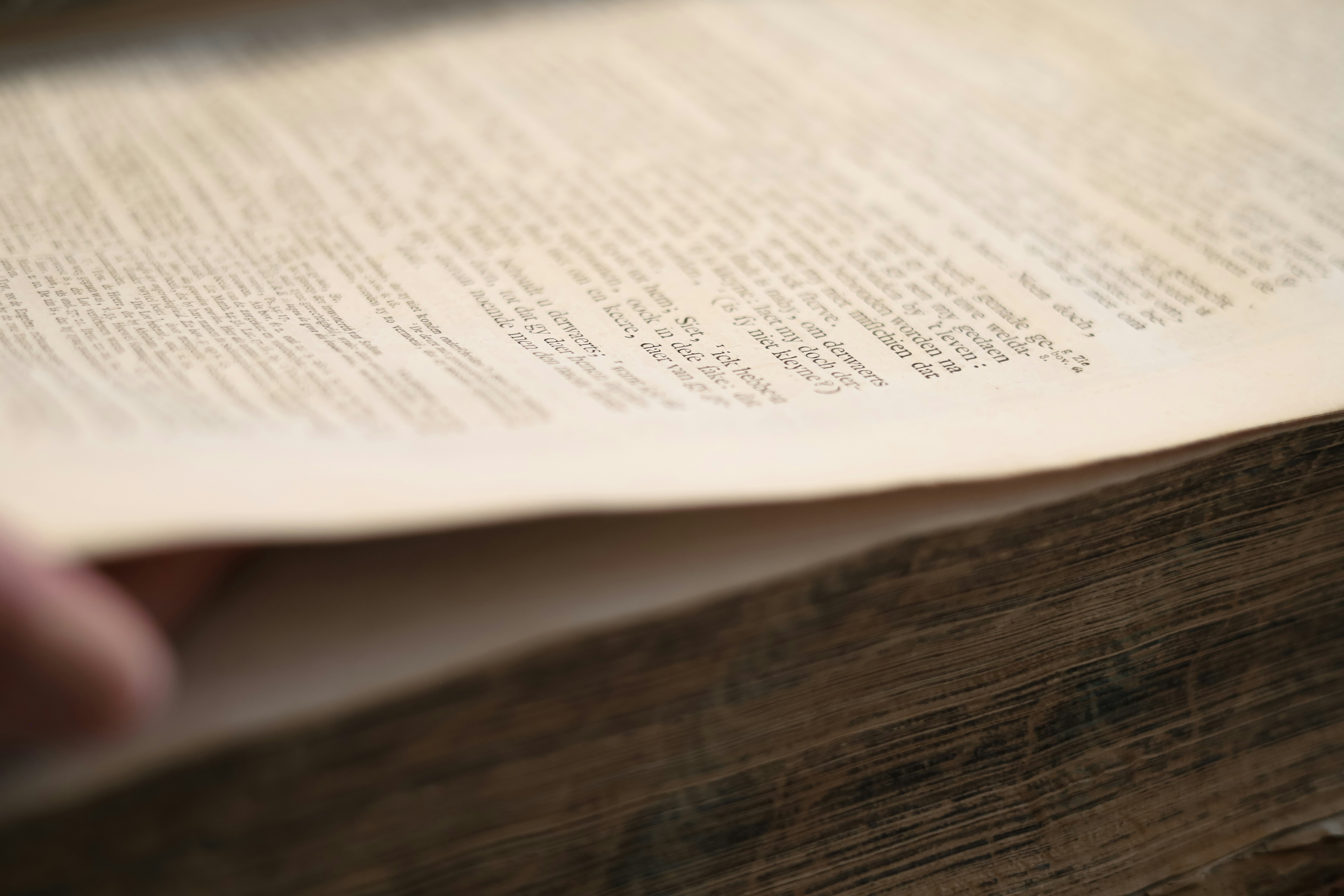 photo-1663083760742-8186fbb35b4e?ixlib=r