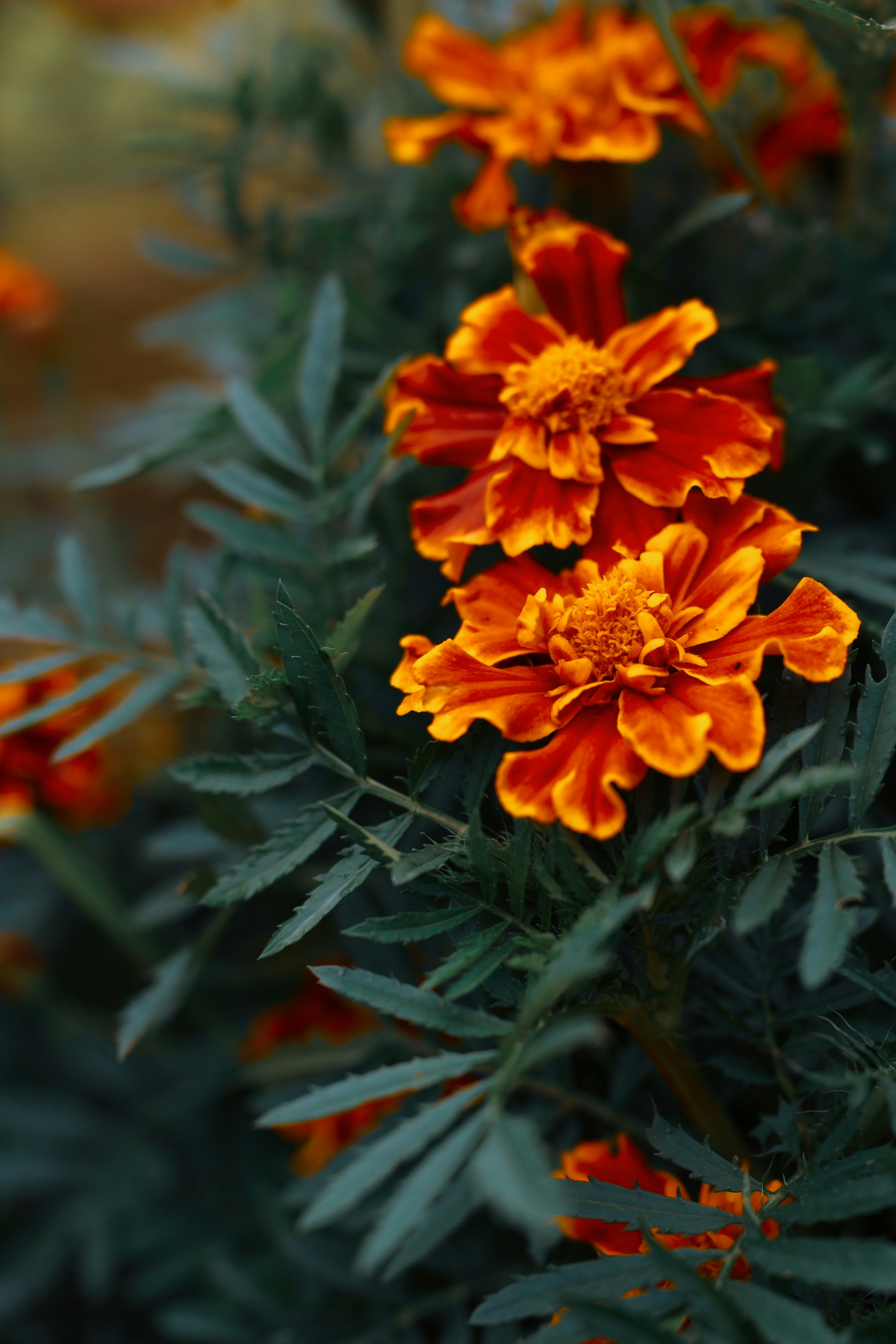 Photo by marina_malkova