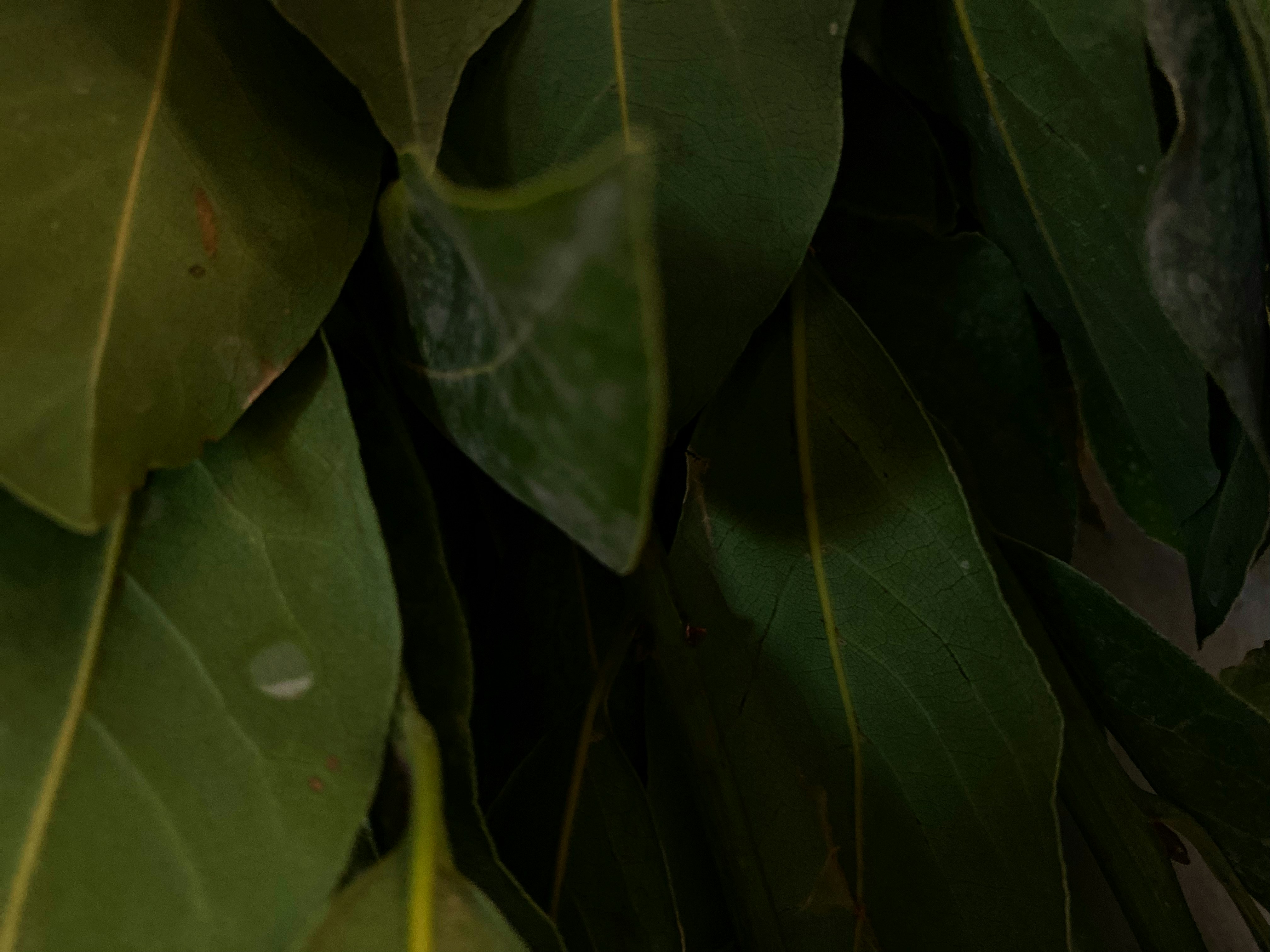 Photo by titouhwayne