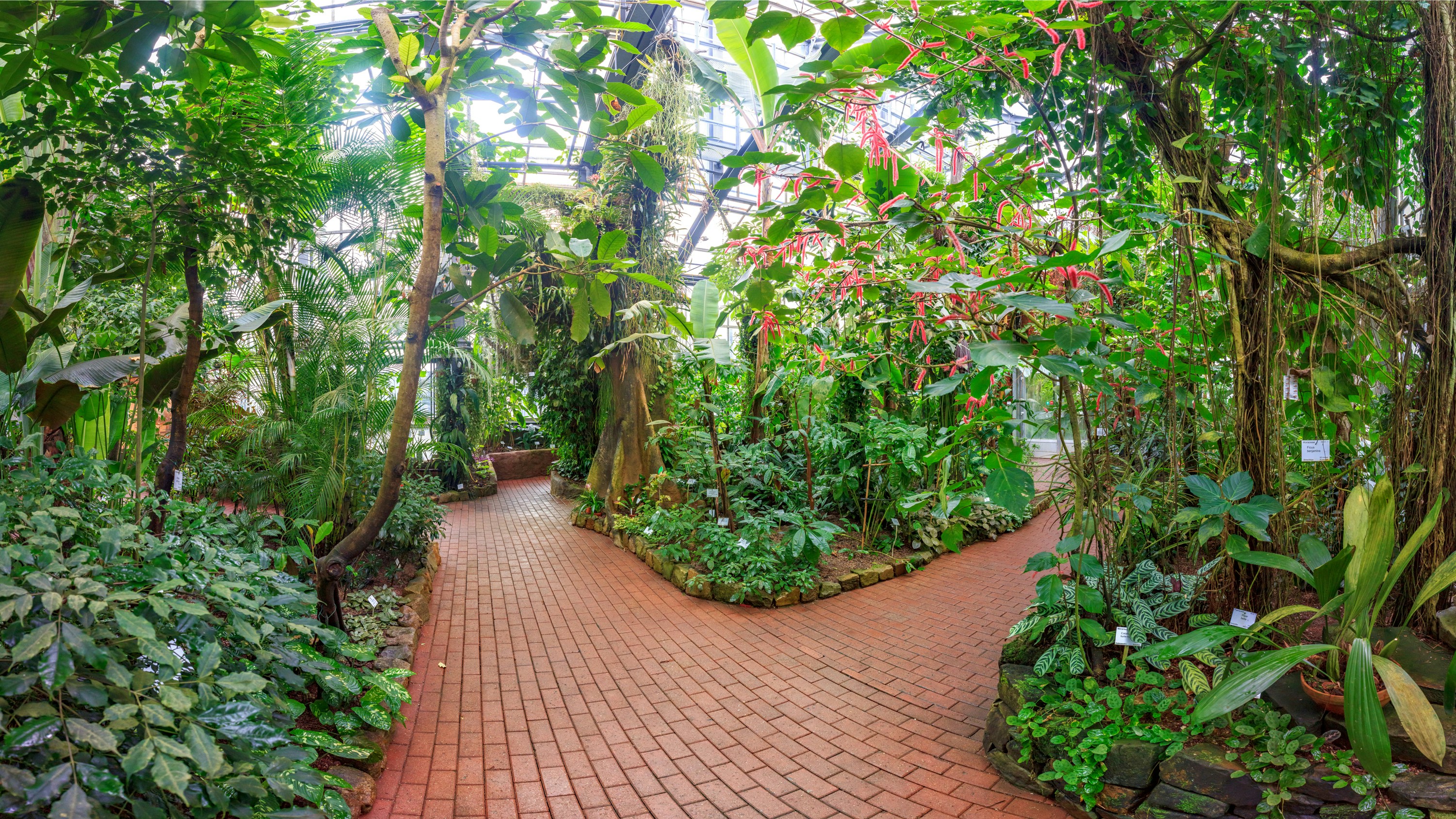 Photo by marvinradke