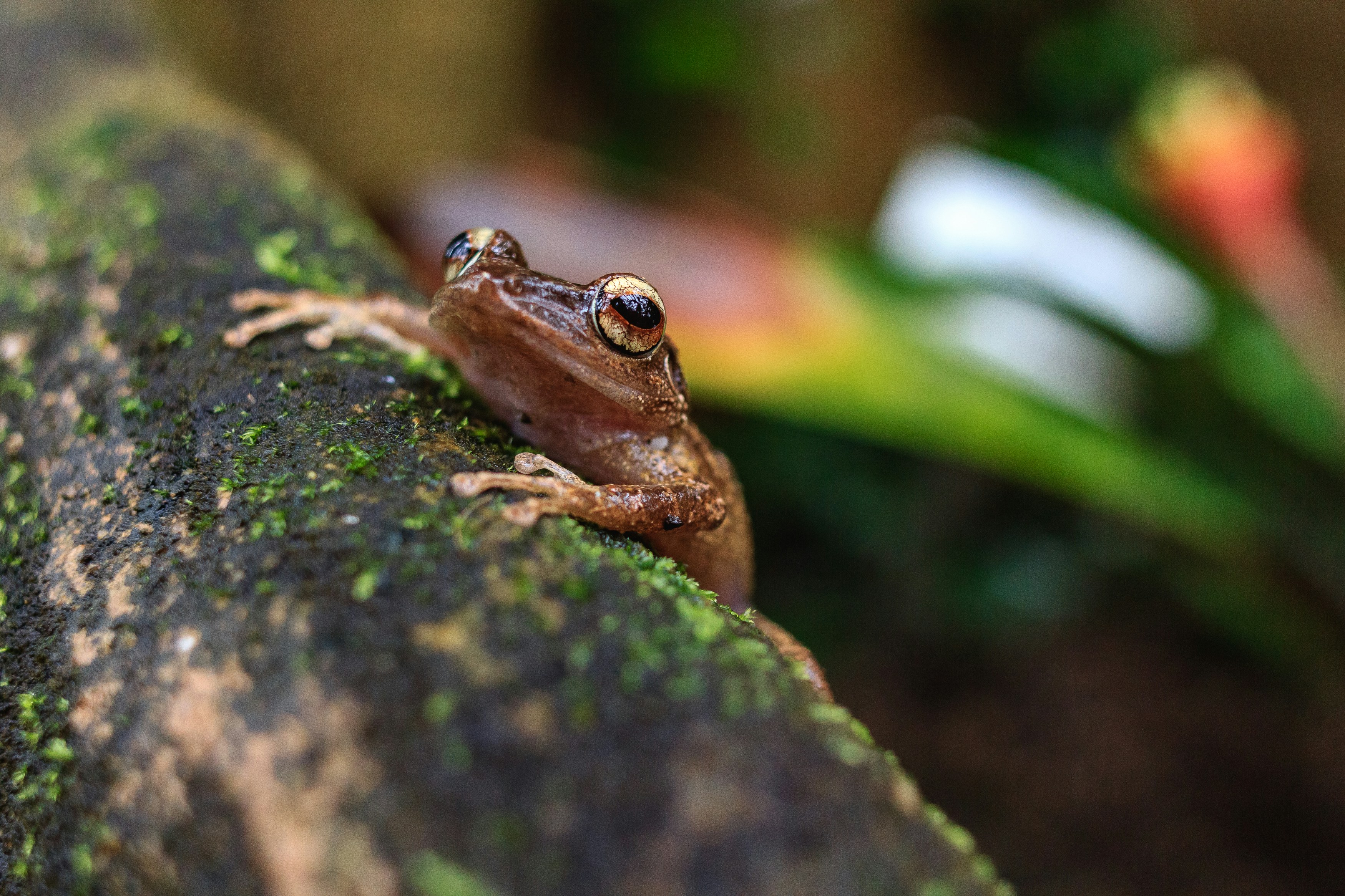 Photo by marvinradke