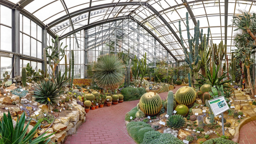 a large indoor planter garden