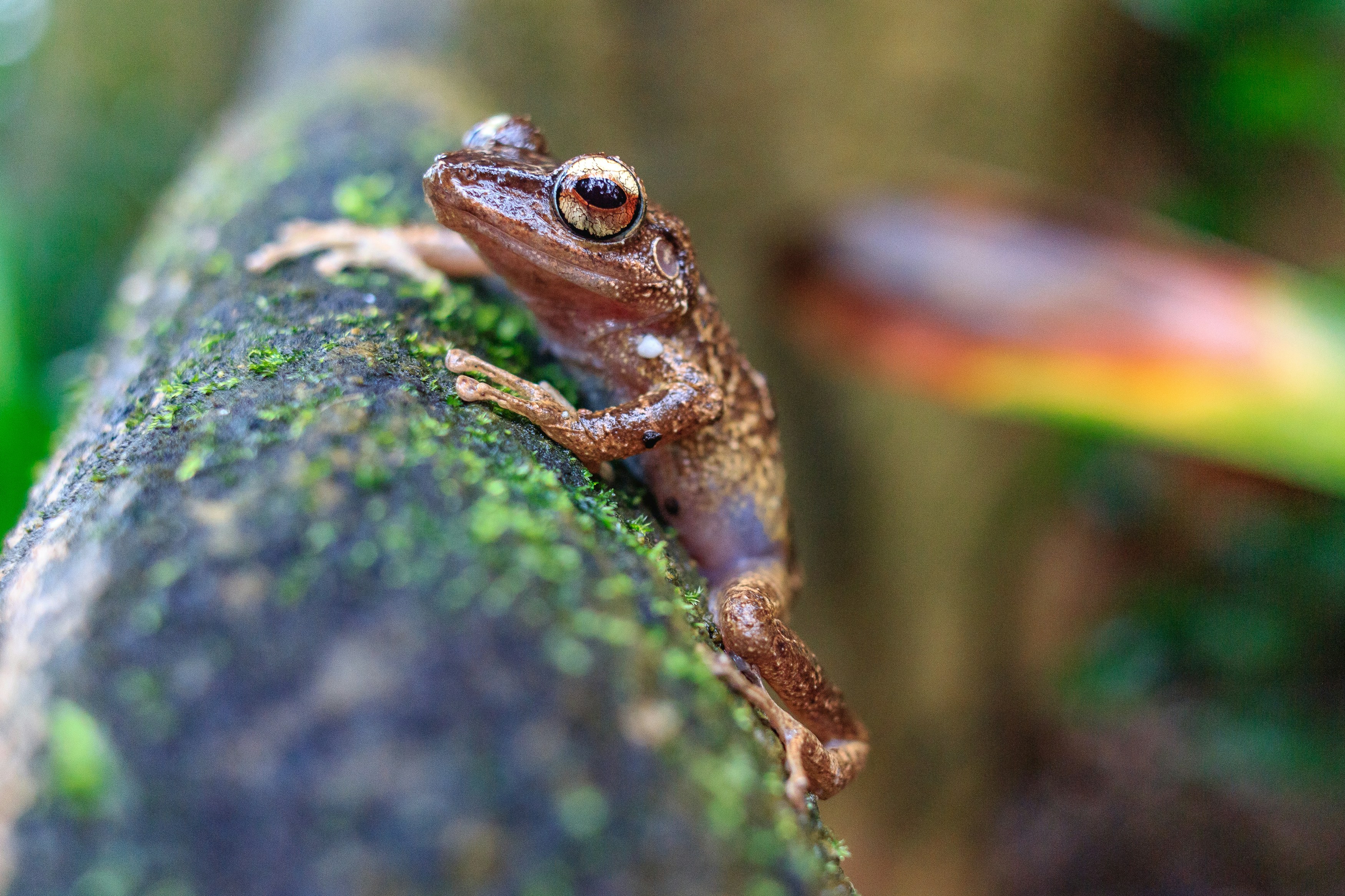 Photo by marvinradke