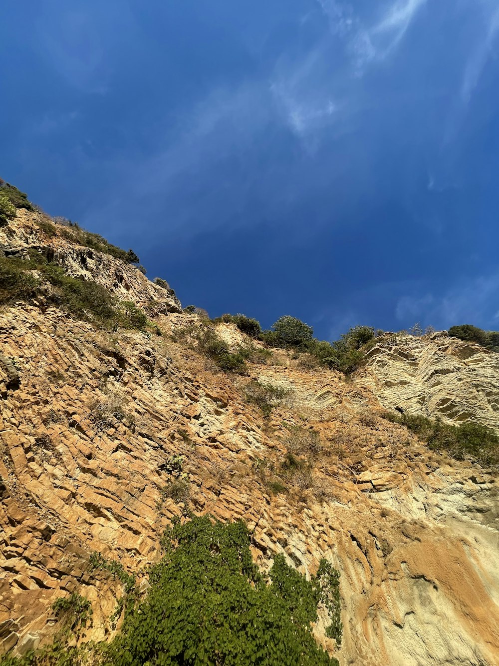 a rocky hillside with trees