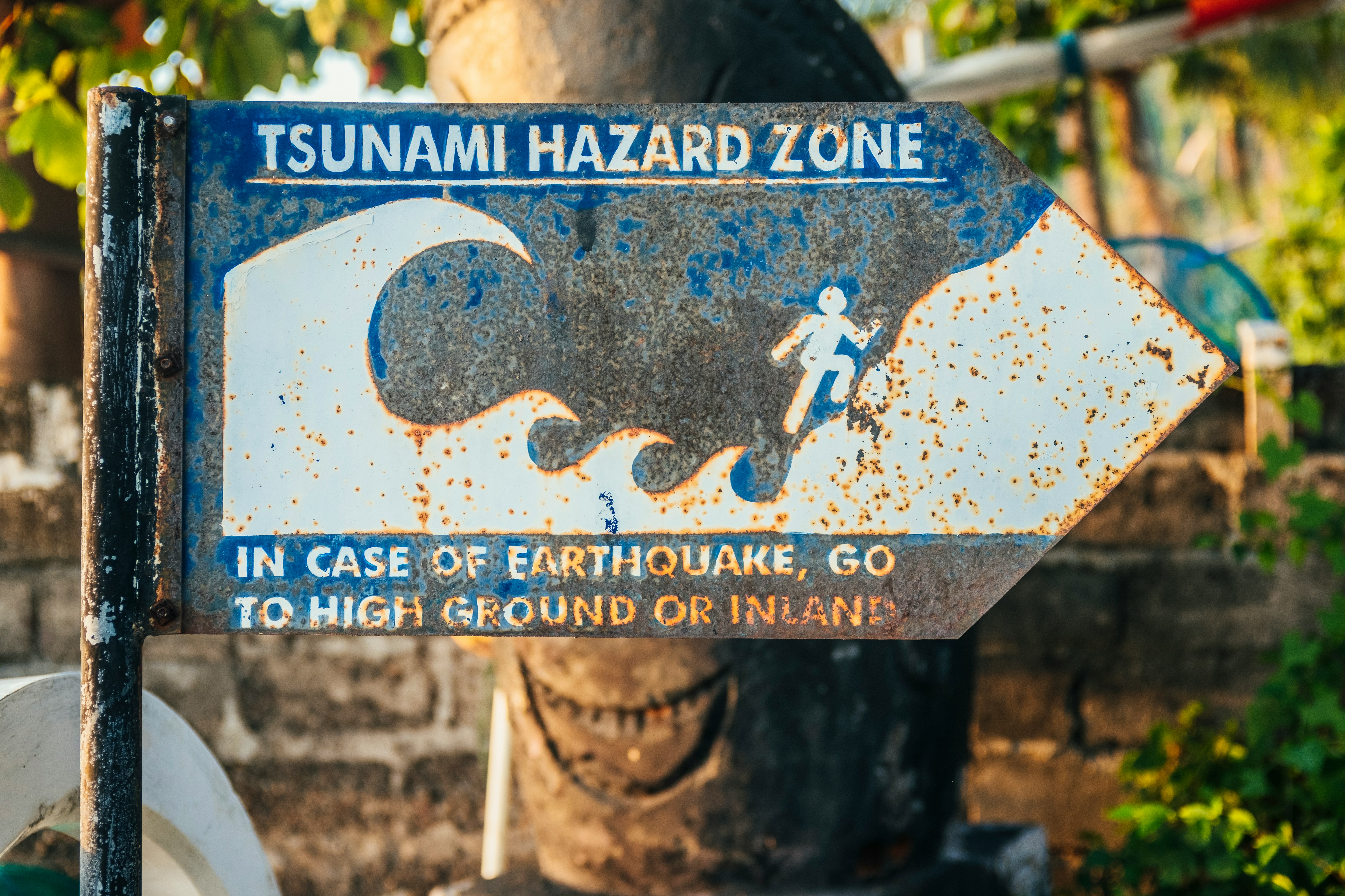 Tsunami Early Warning System