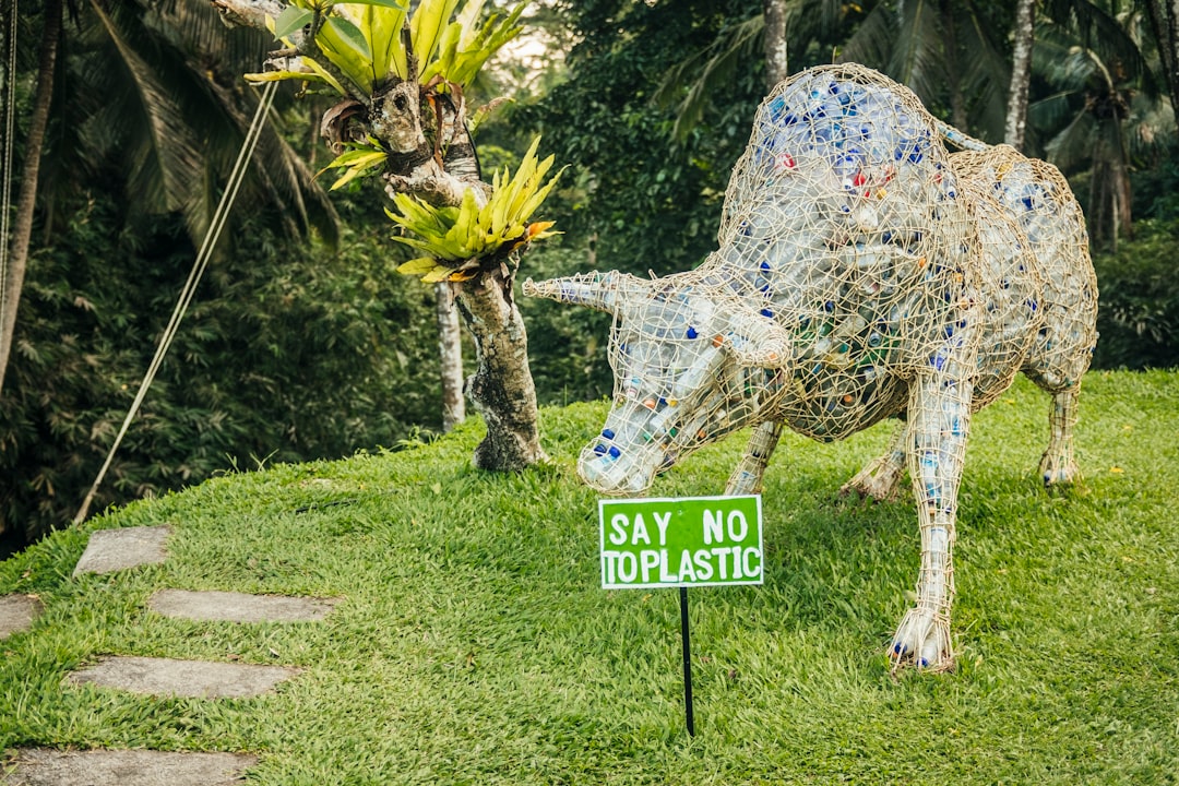 Natural landscape photo spot Ubud Tabanan