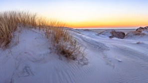 a snowy landscape with a sunset