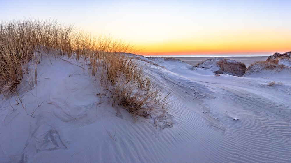 a snowy landscape with a sunset