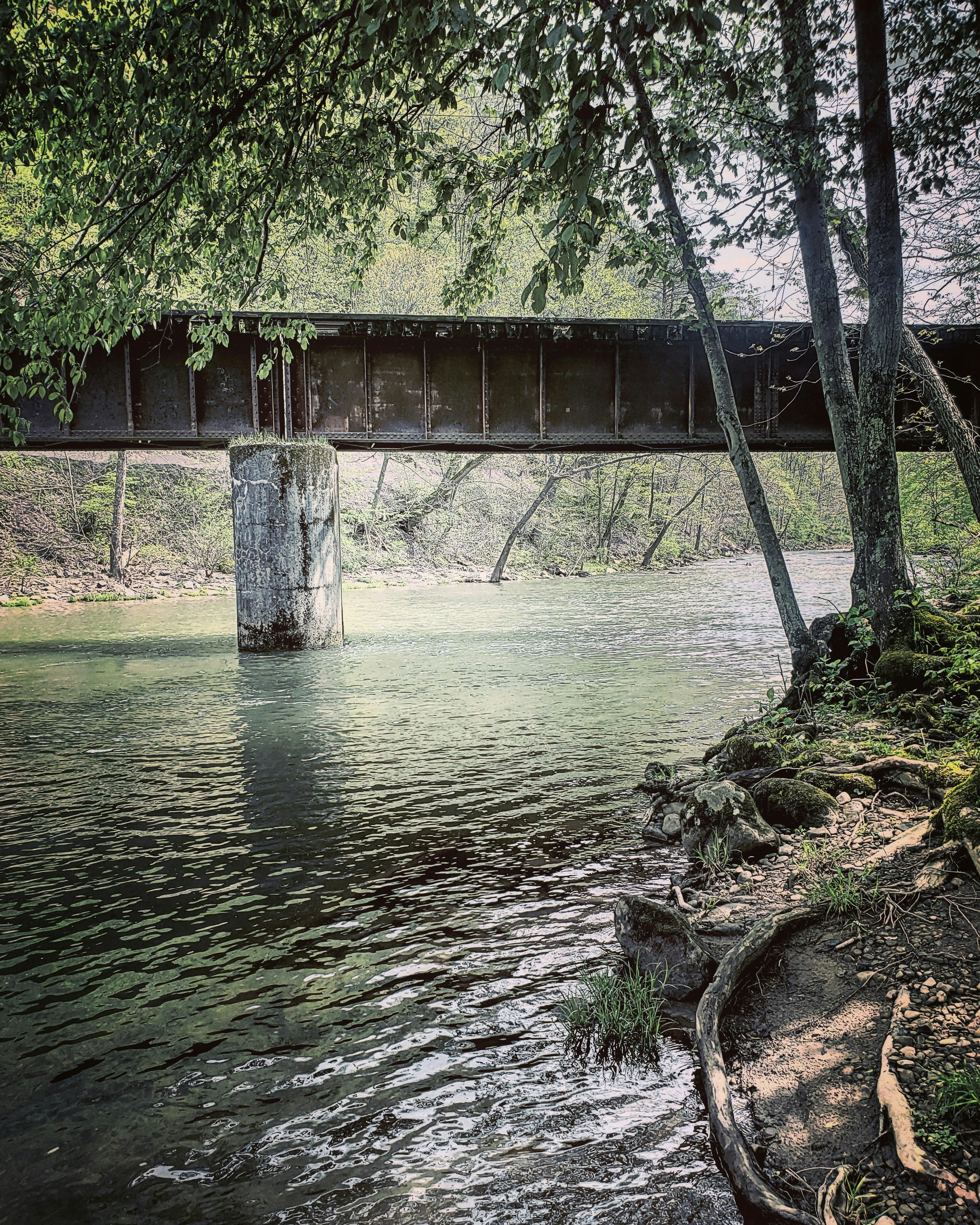 A bridge over a river photo – Free Bergoo Image on Unsplash