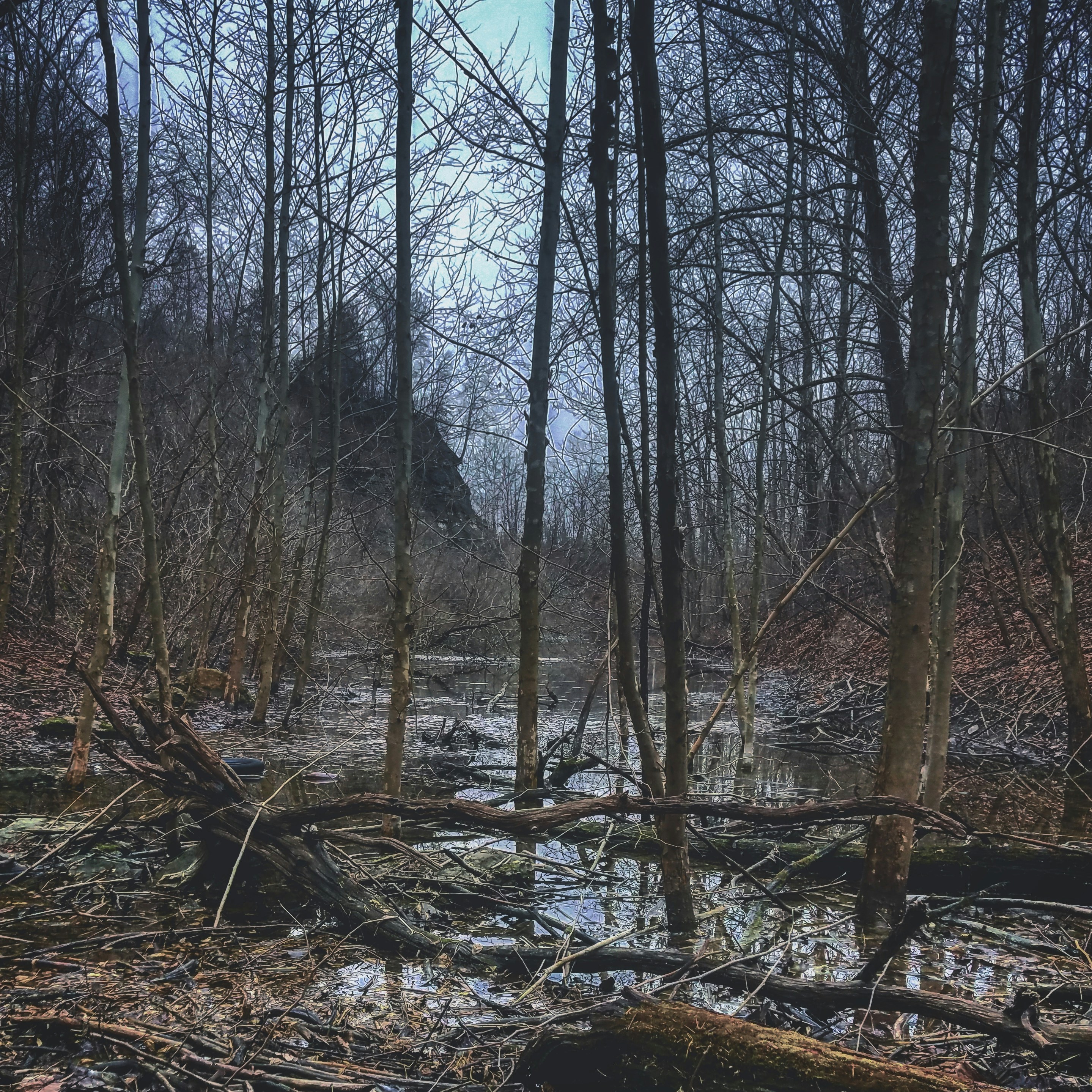 Photo by hillbilly_147