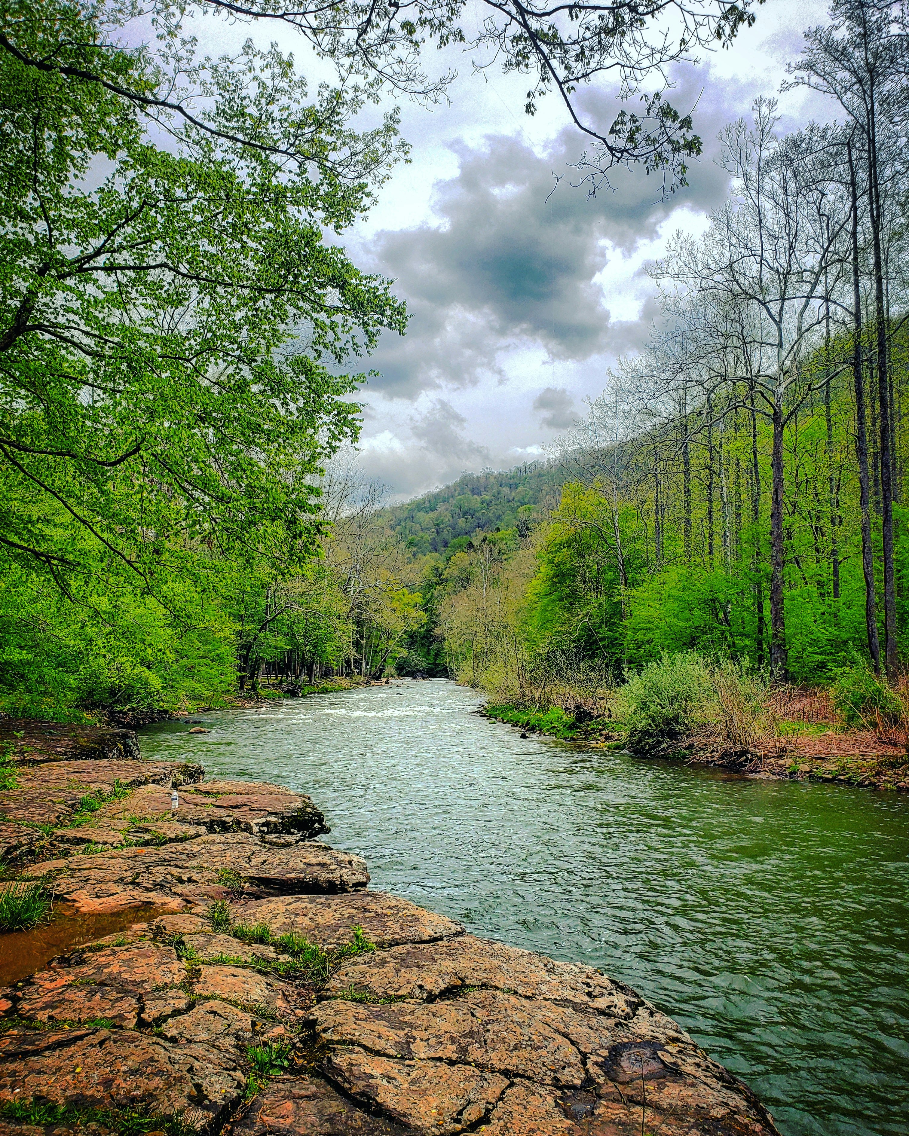 A river with rocks and trees