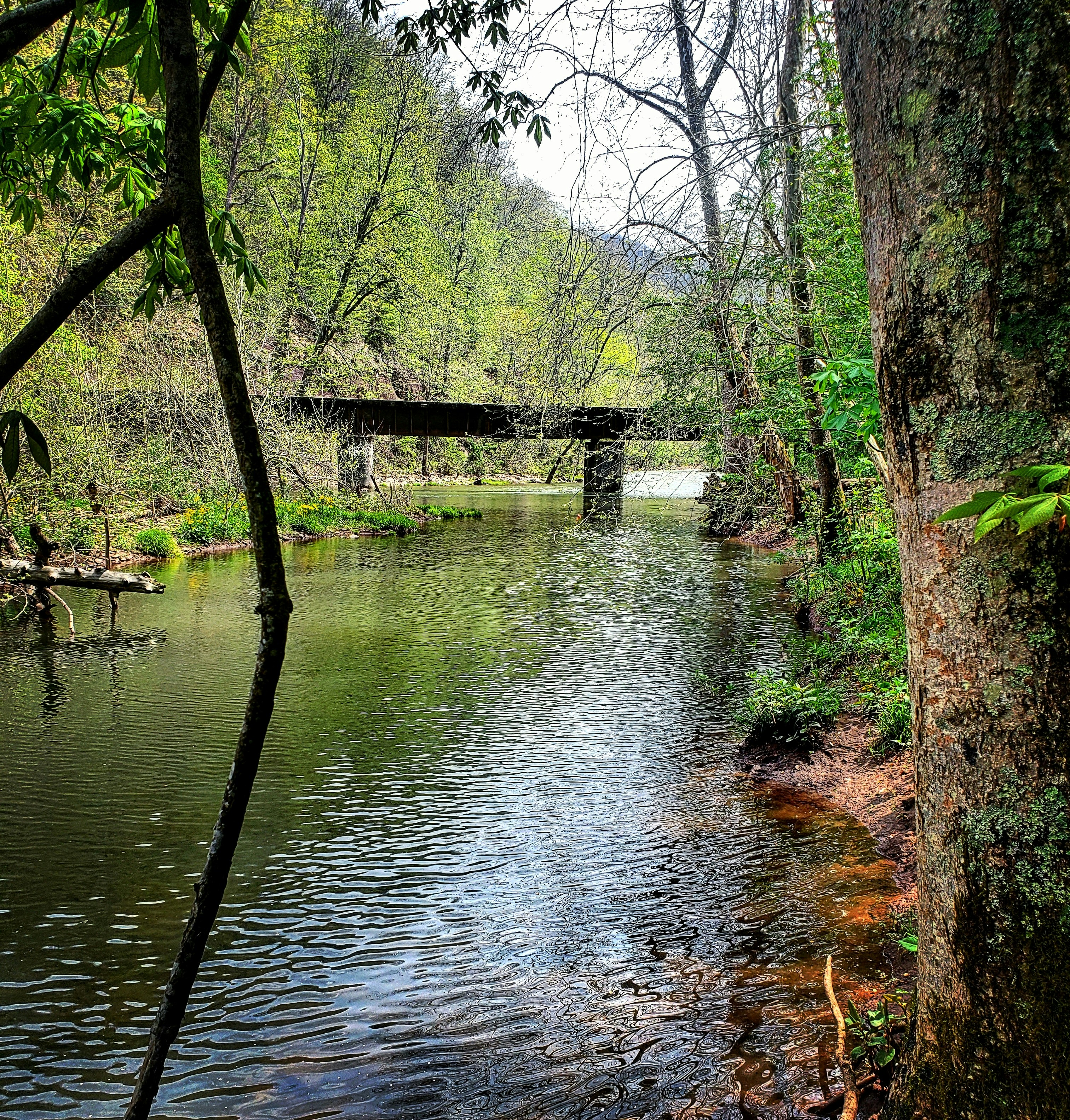 Photo by hillbilly_147