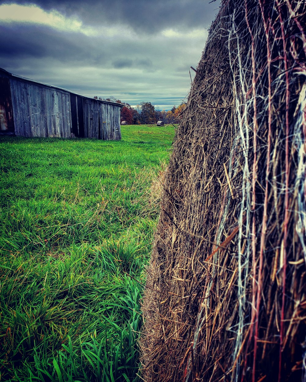 a fenced in field