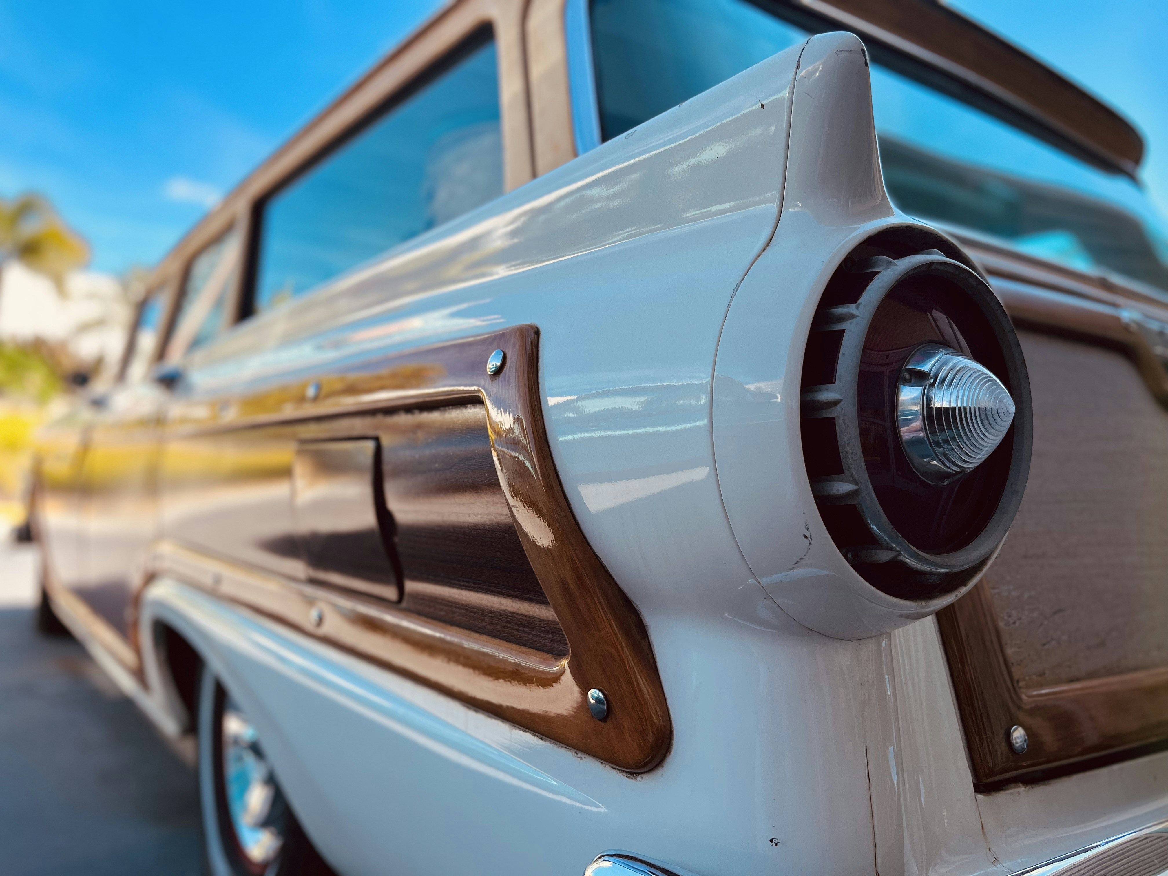 Photo by thelordismyshepherd23