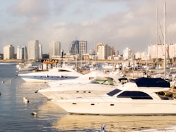 a group of boats in a harbor