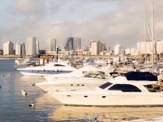a group of boats in a harbor