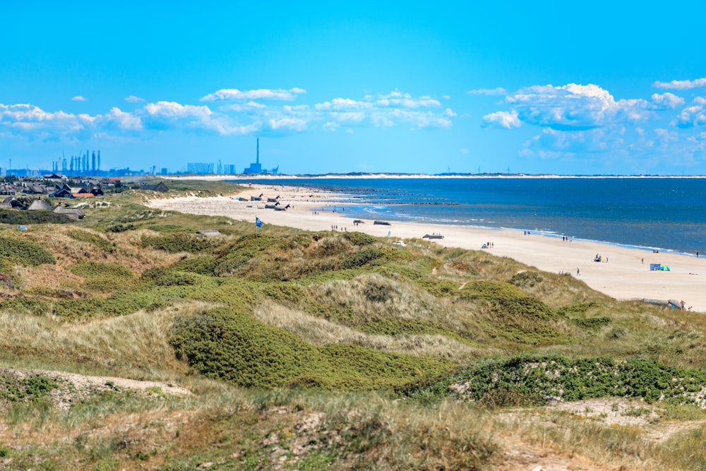 a beach with a body of water in the background