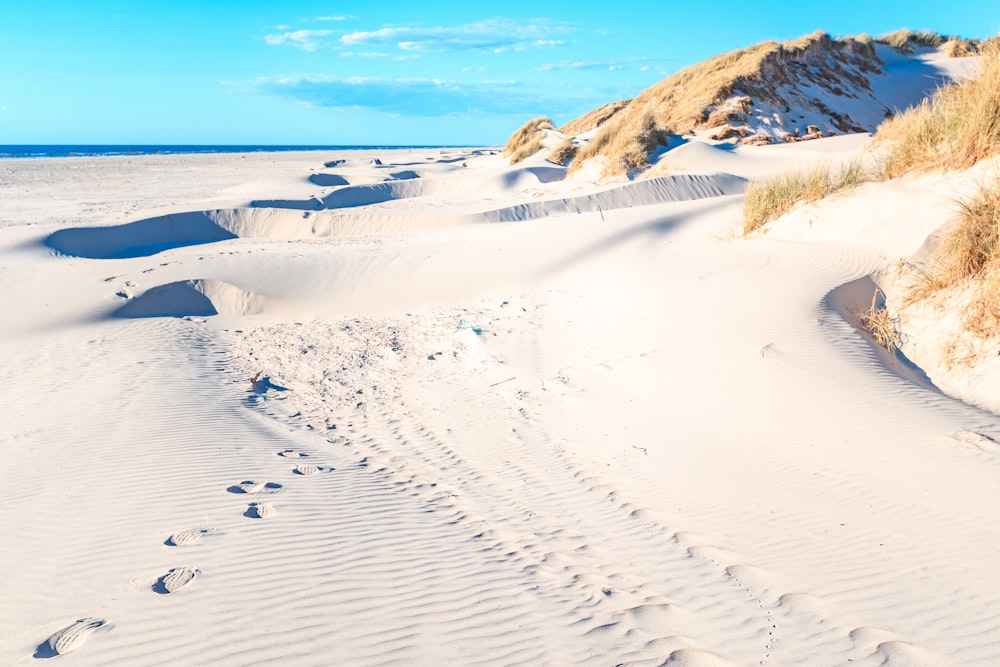 a sandy beach with rocks and water