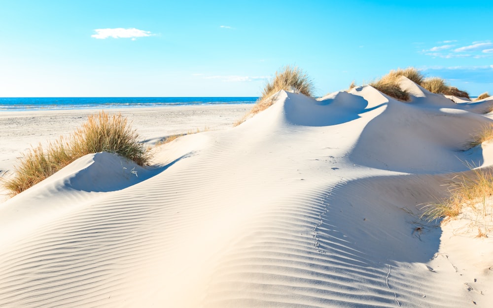 a sandy beach with sand dunes