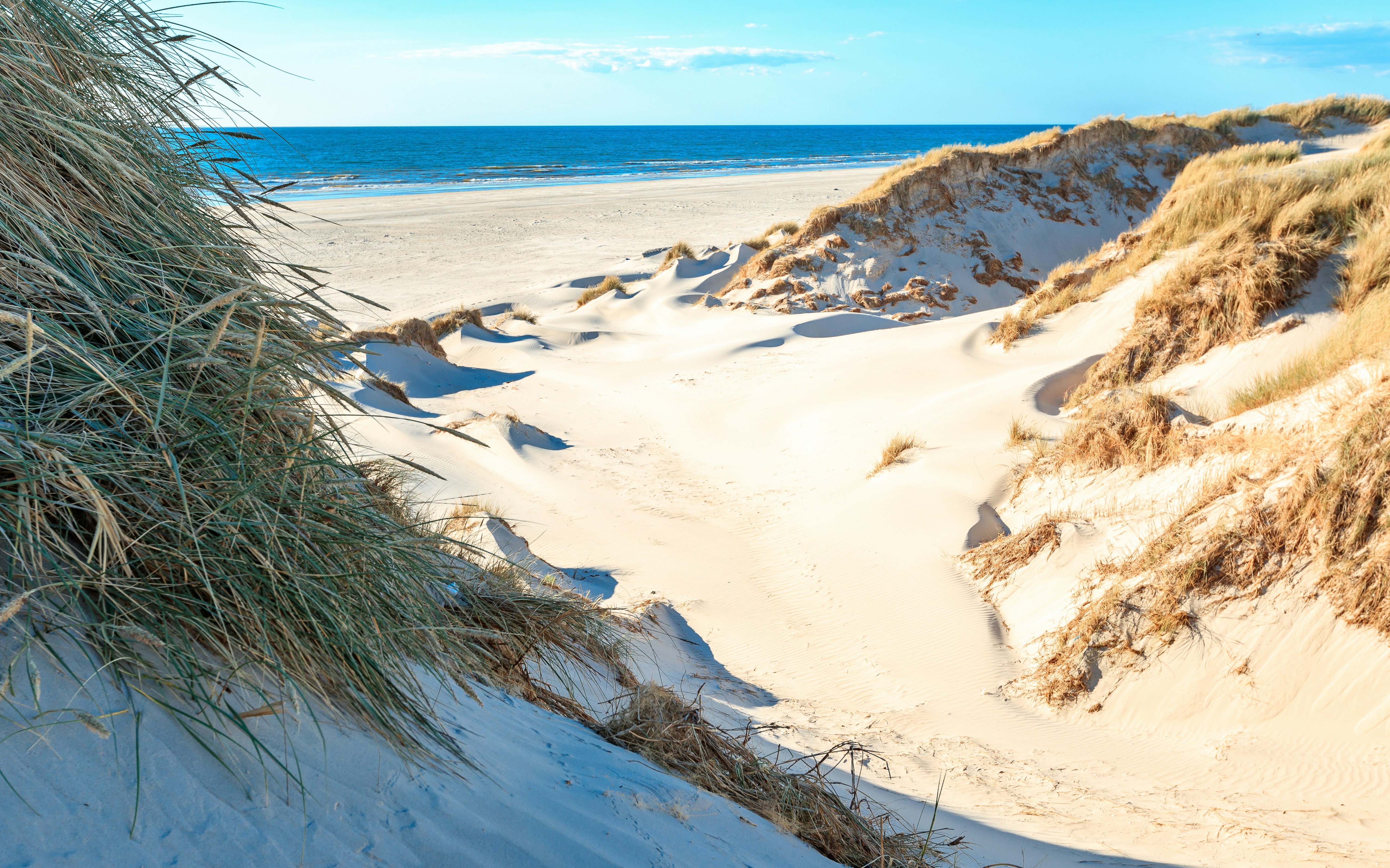 Photo by marvinradke