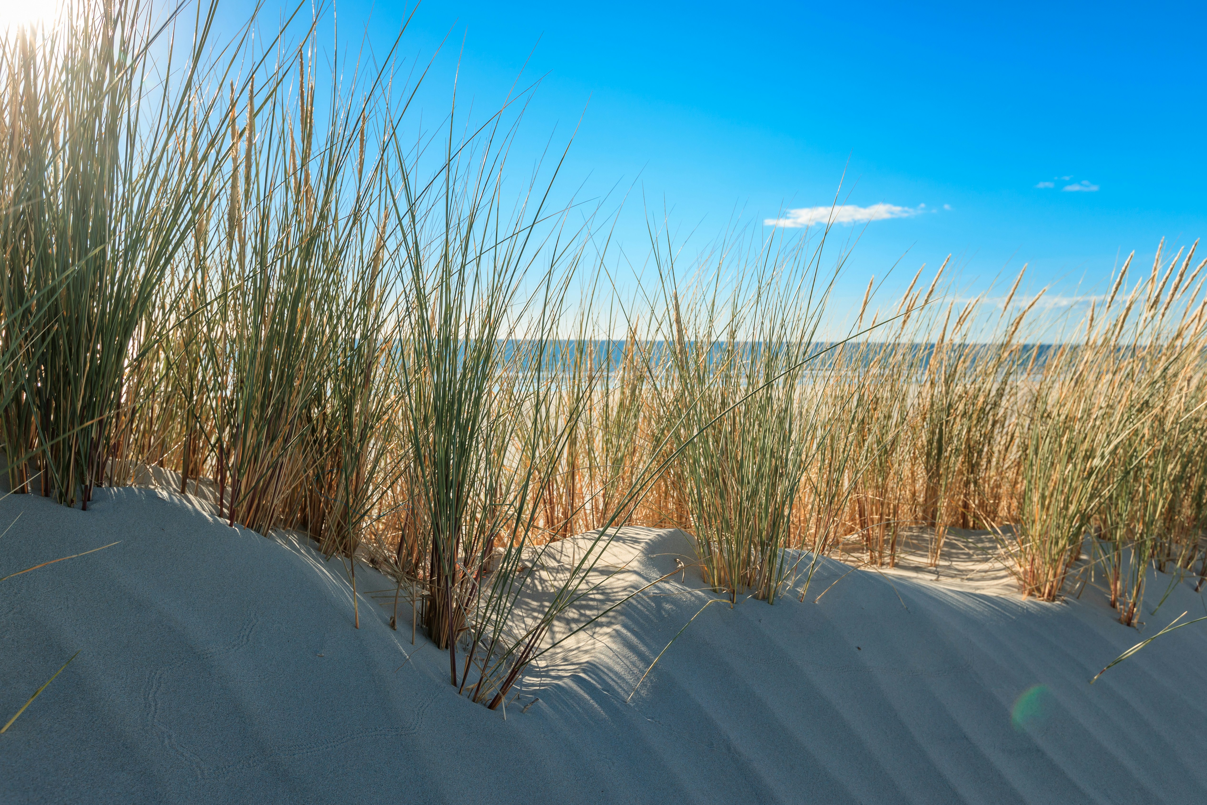 Photo by marvinradke