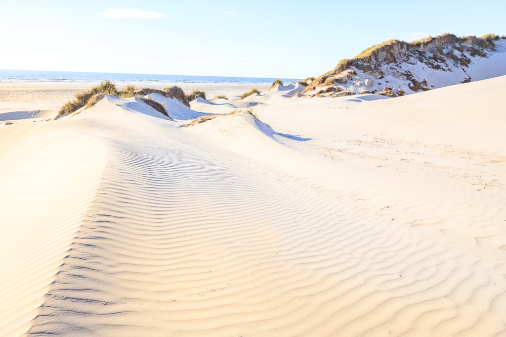 a sandy beach with a hill in the background