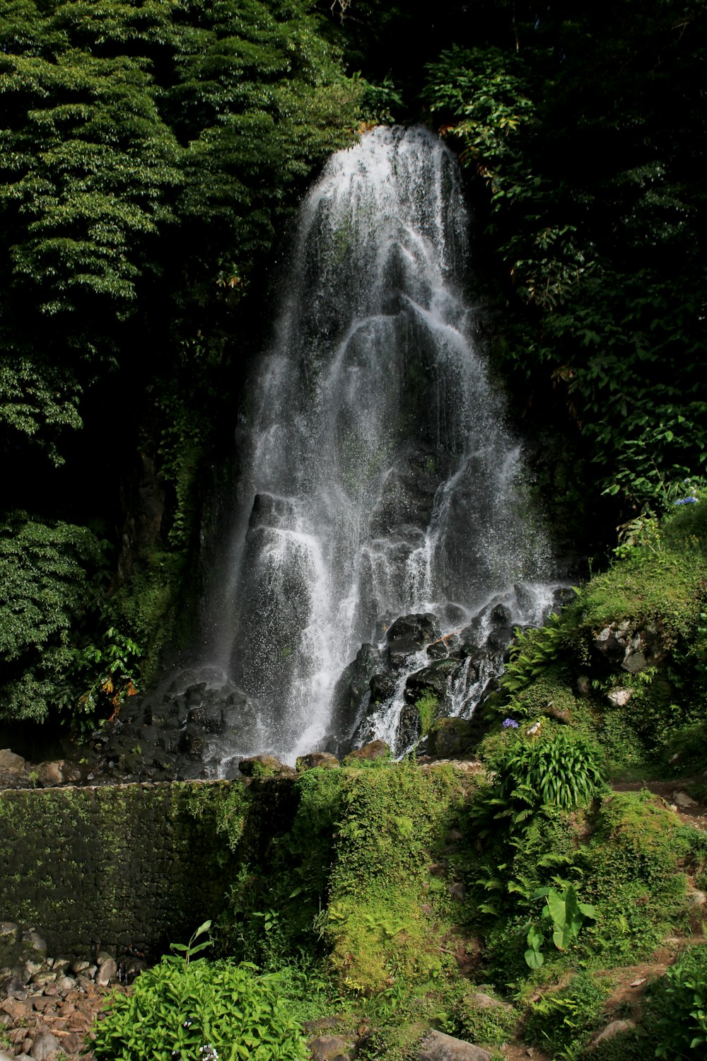 a waterfall in a forest