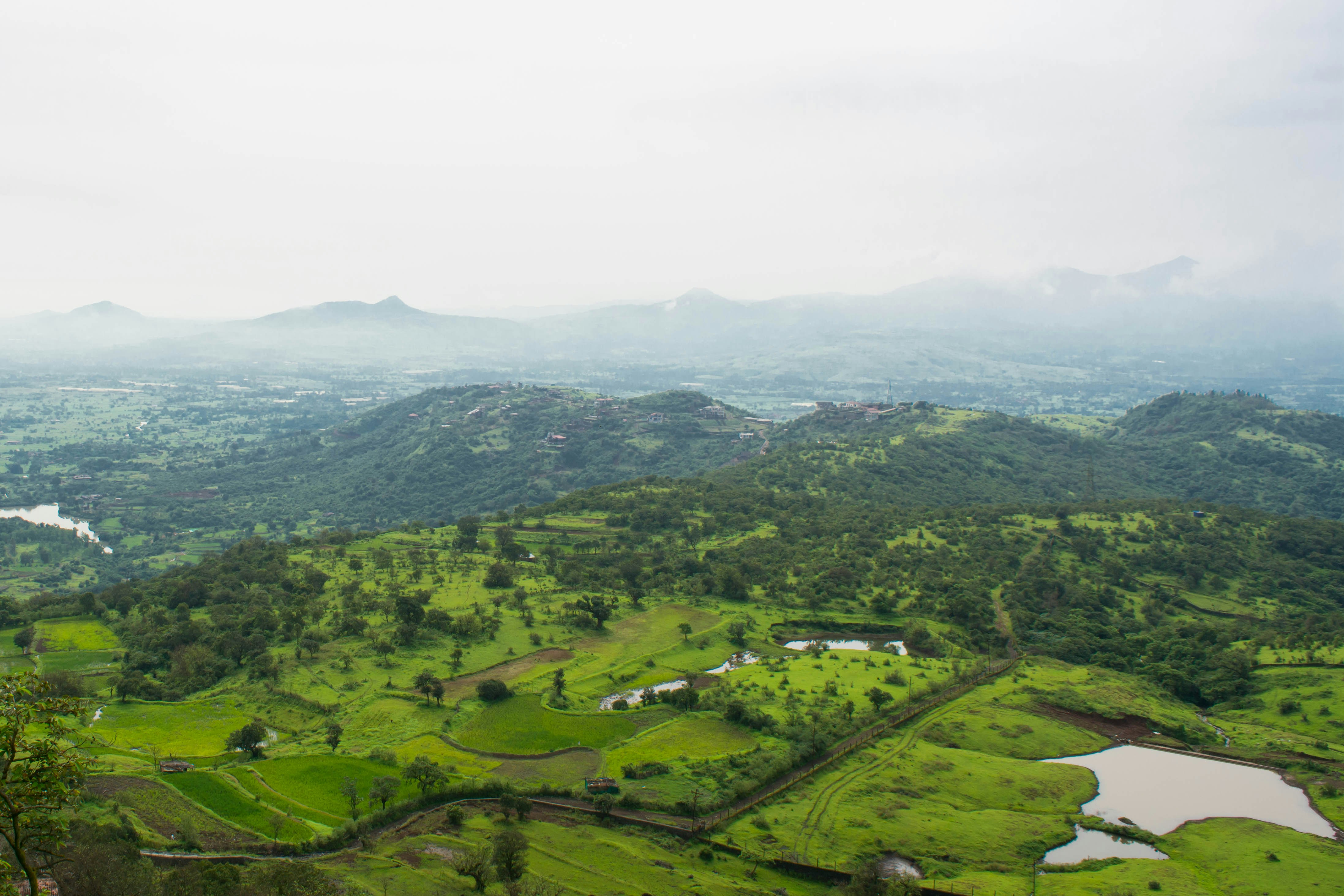 Photo by good_e_will