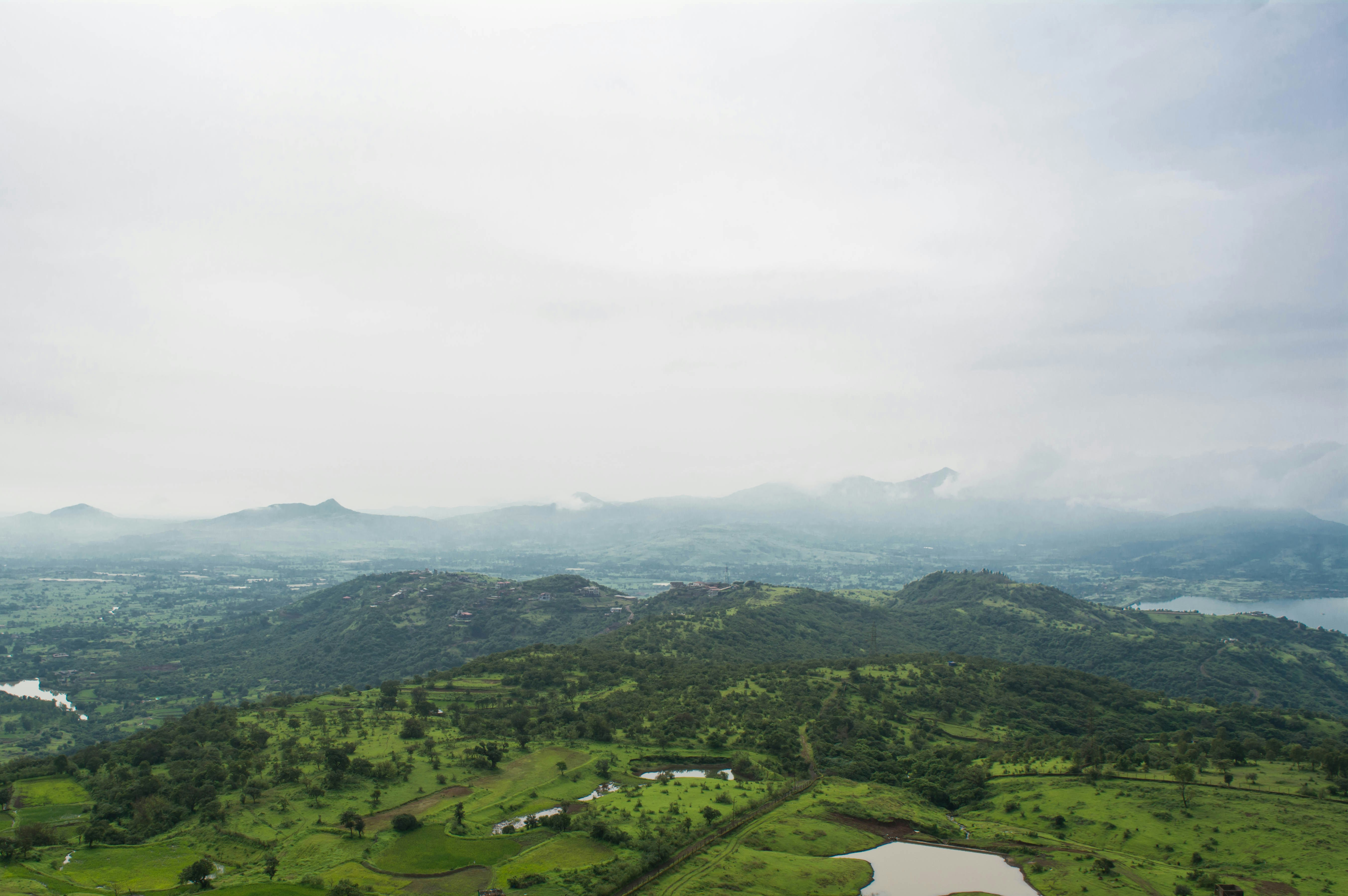 Photo by good_e_will