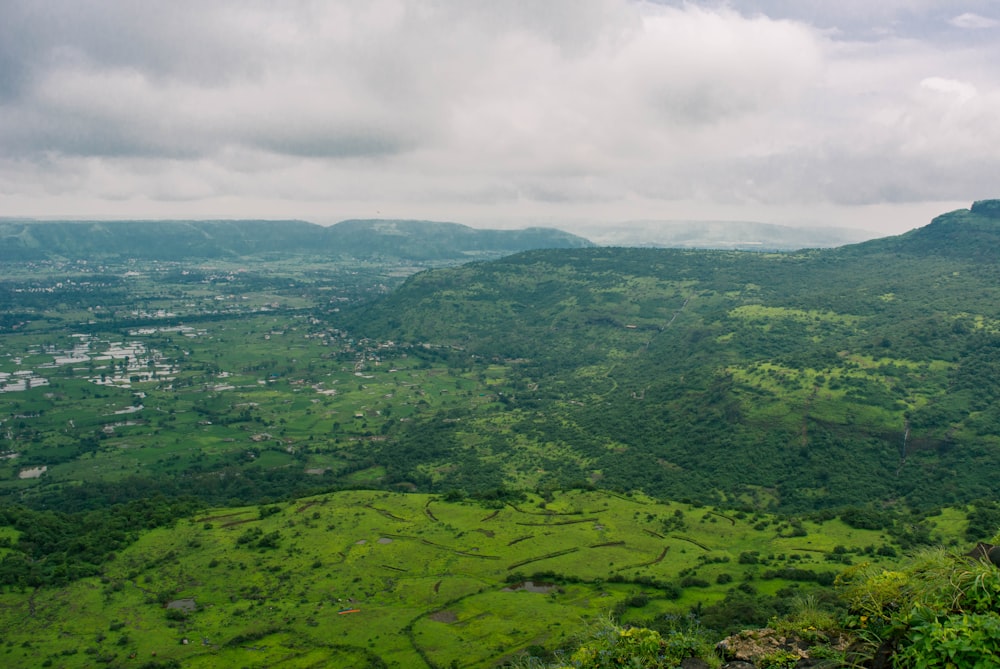 a landscape with trees and hills