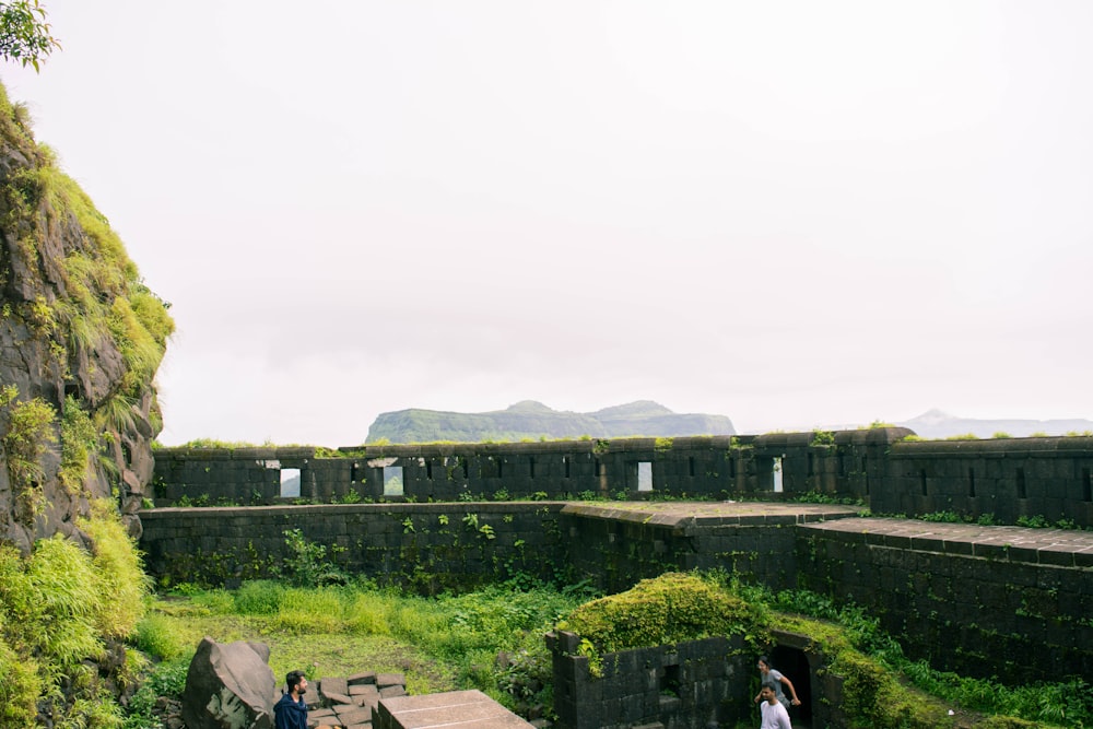 a stone wall with a stone wall and plants and a hill in the background