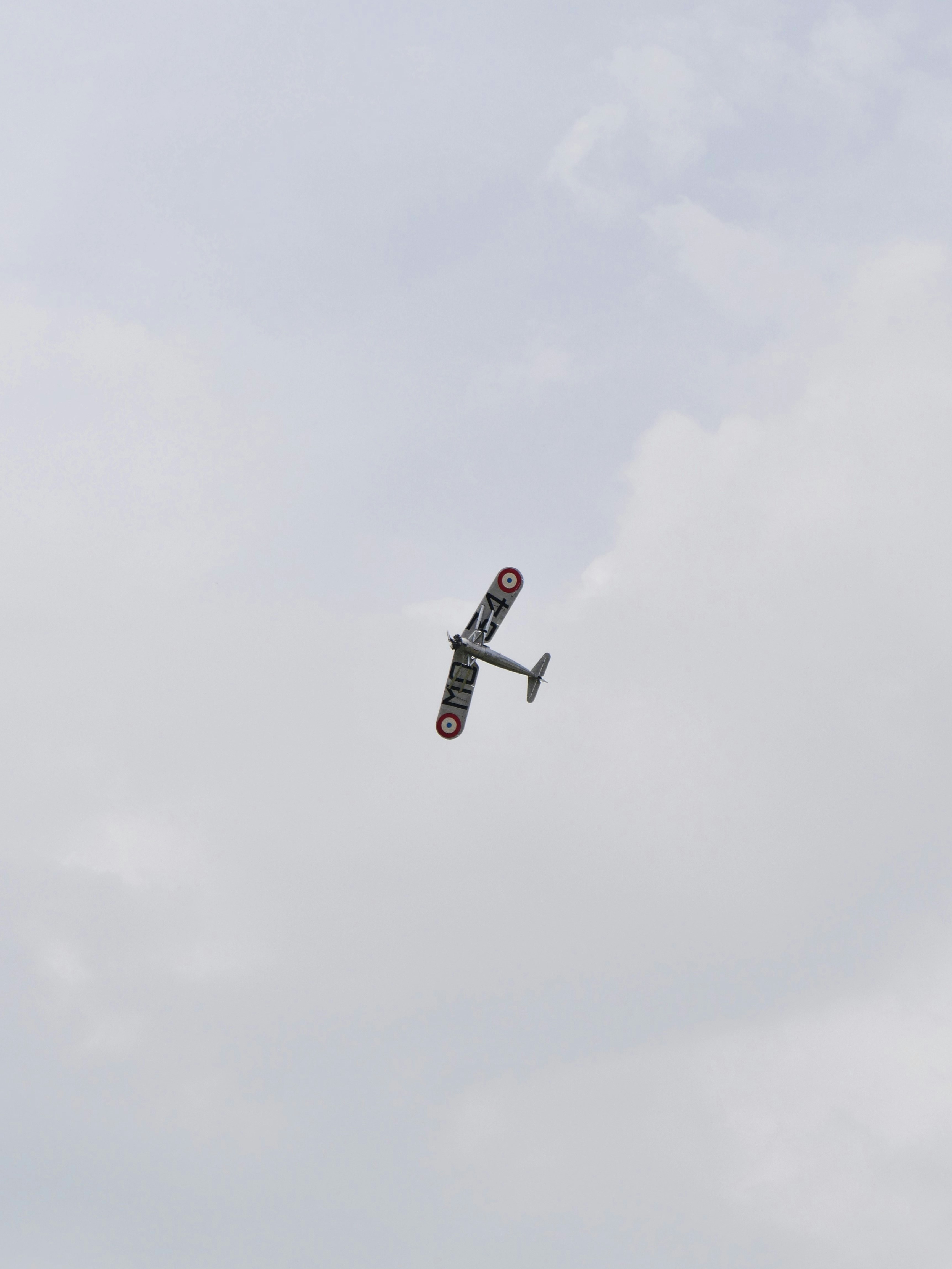 Upside Down World photo 2