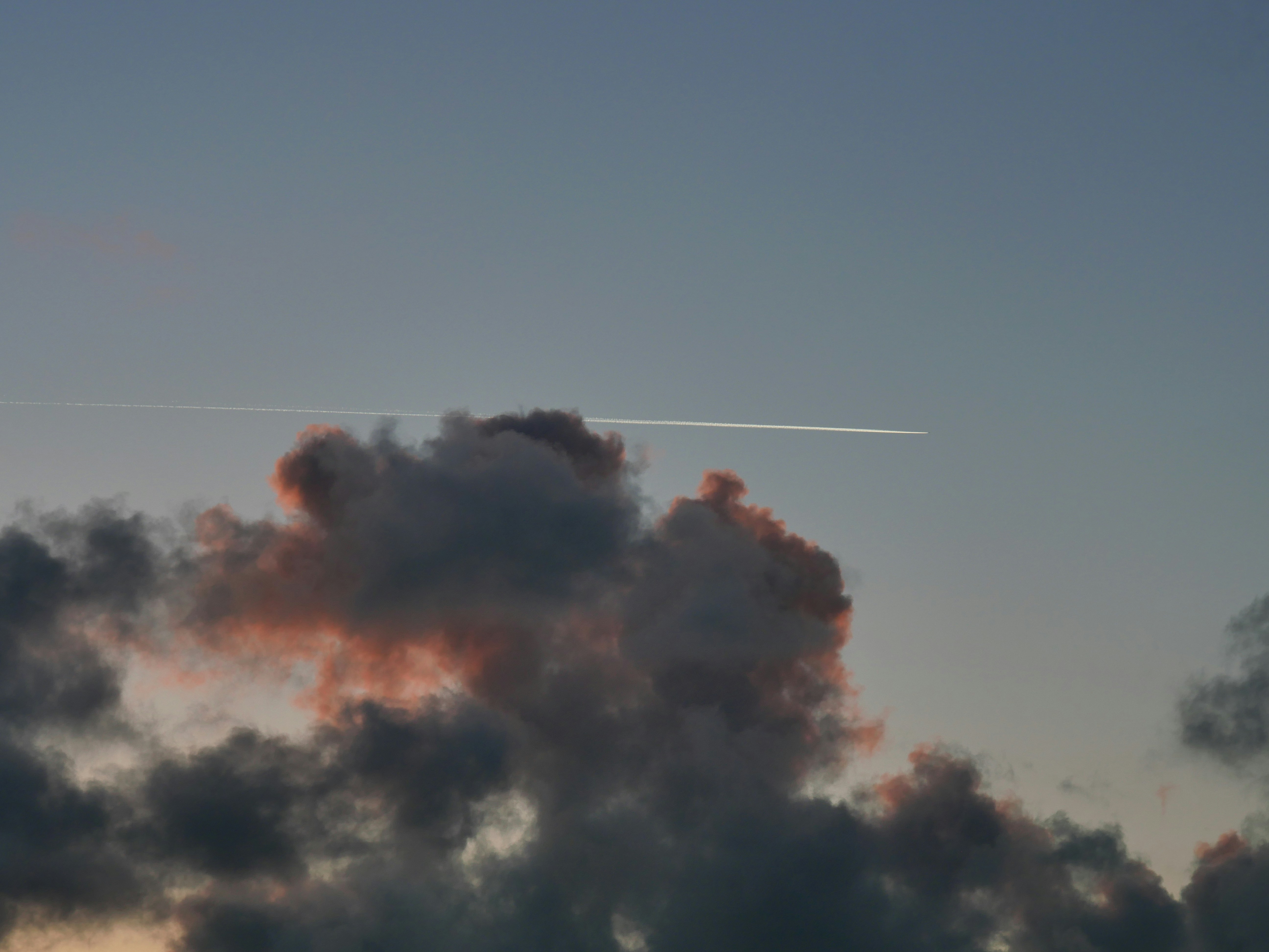 Photo by nimbus_vulpis