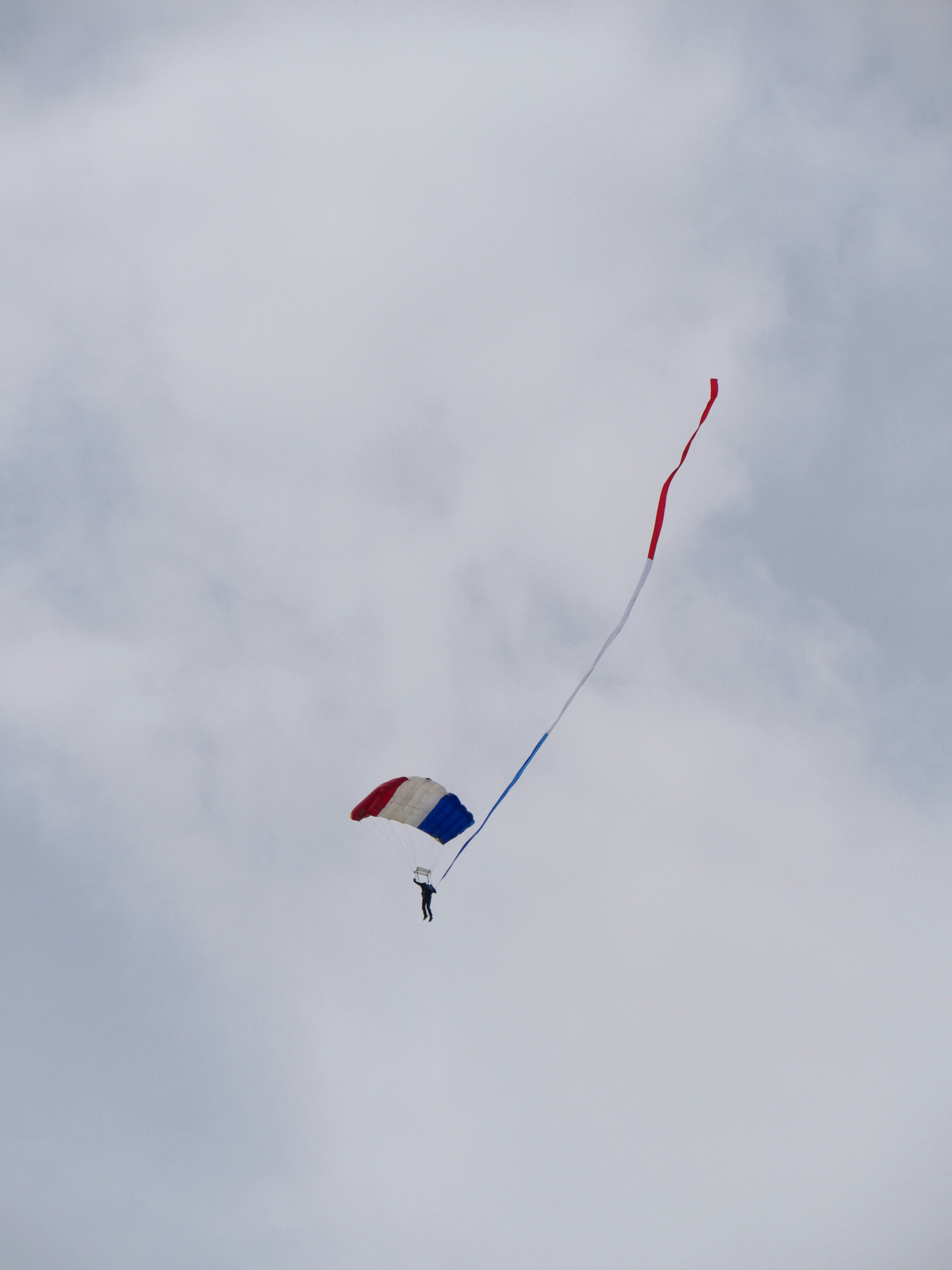 Photo by nimbus_vulpis