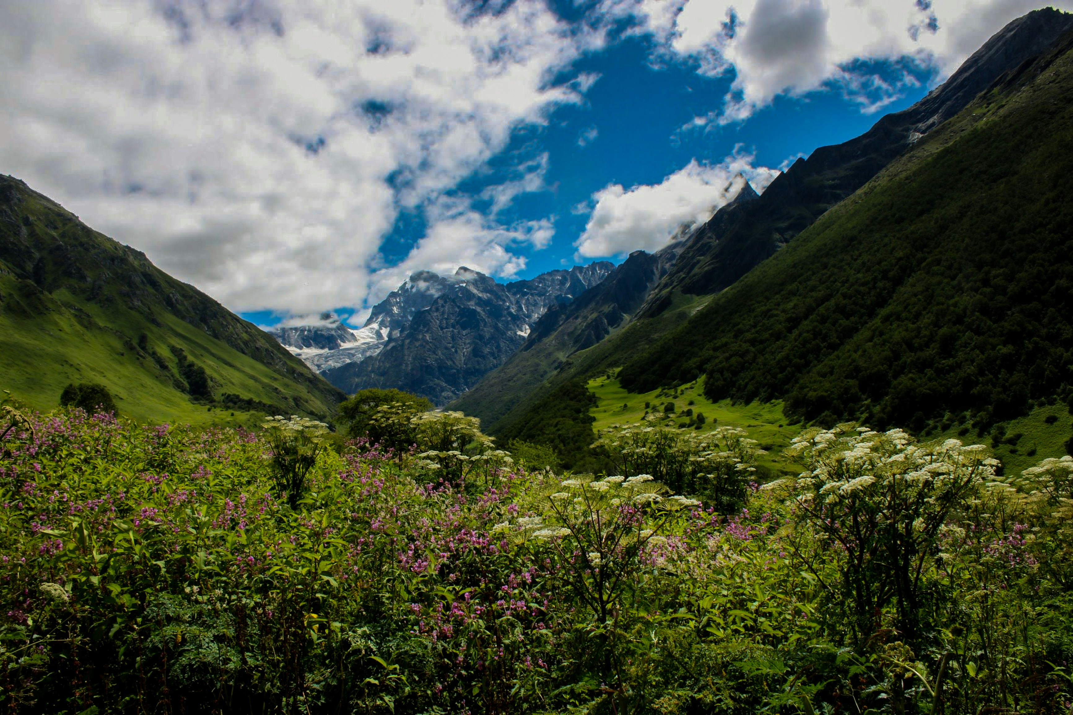 Photo by modakswapnil