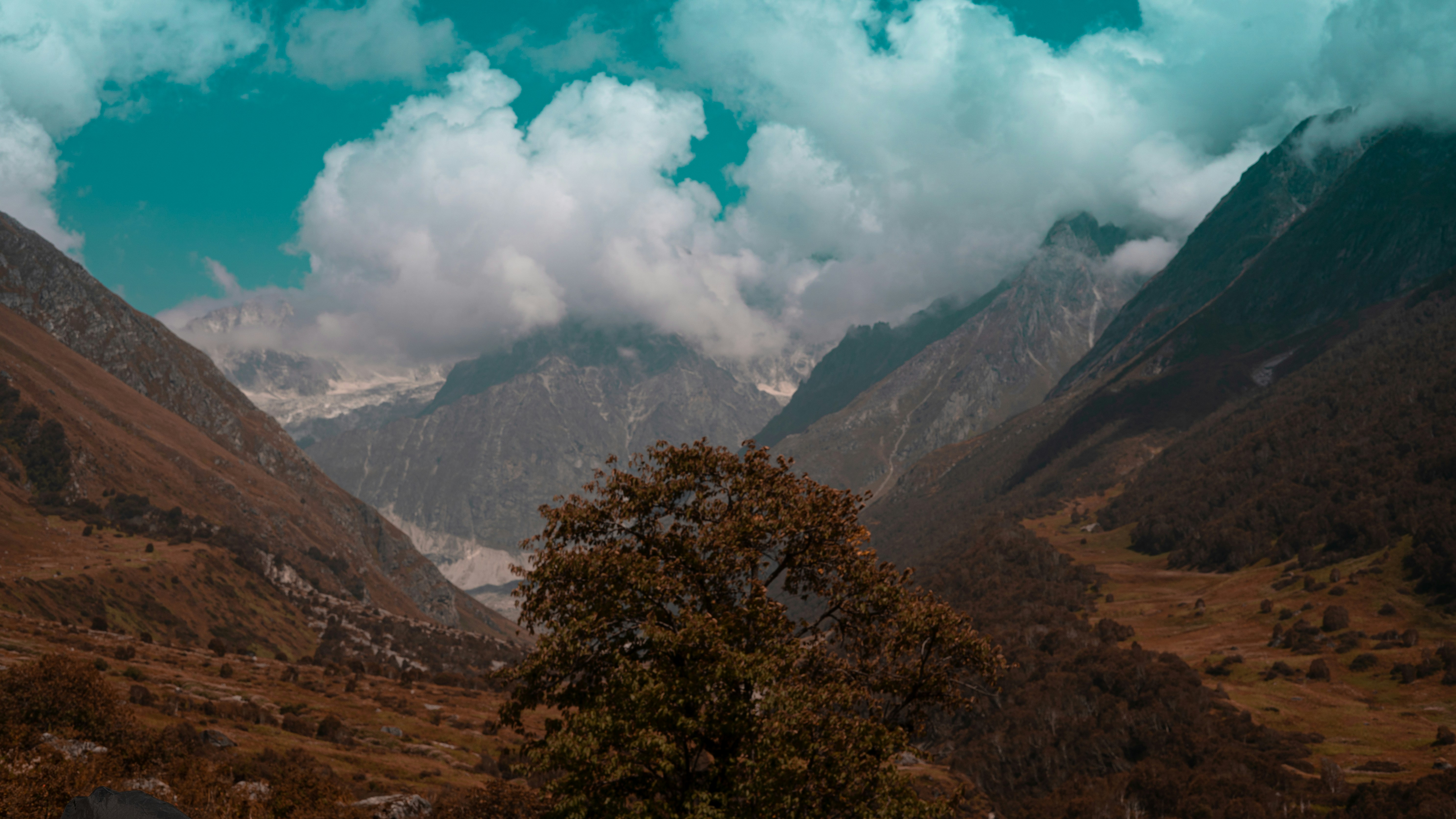 Photo by vaibhav9286