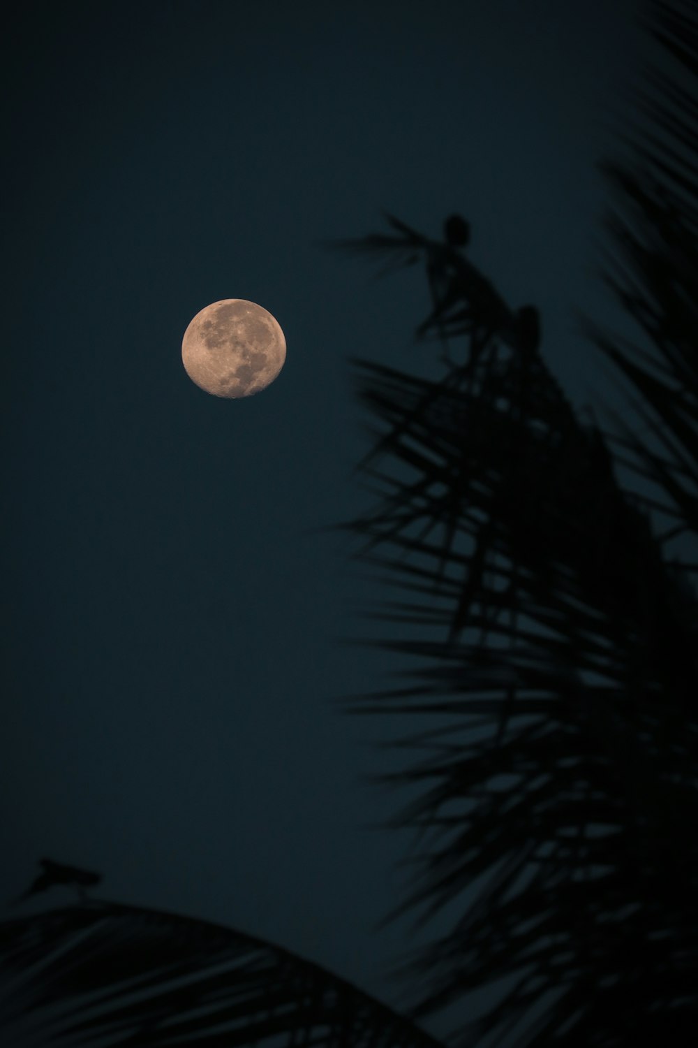 a full moon in the night sky